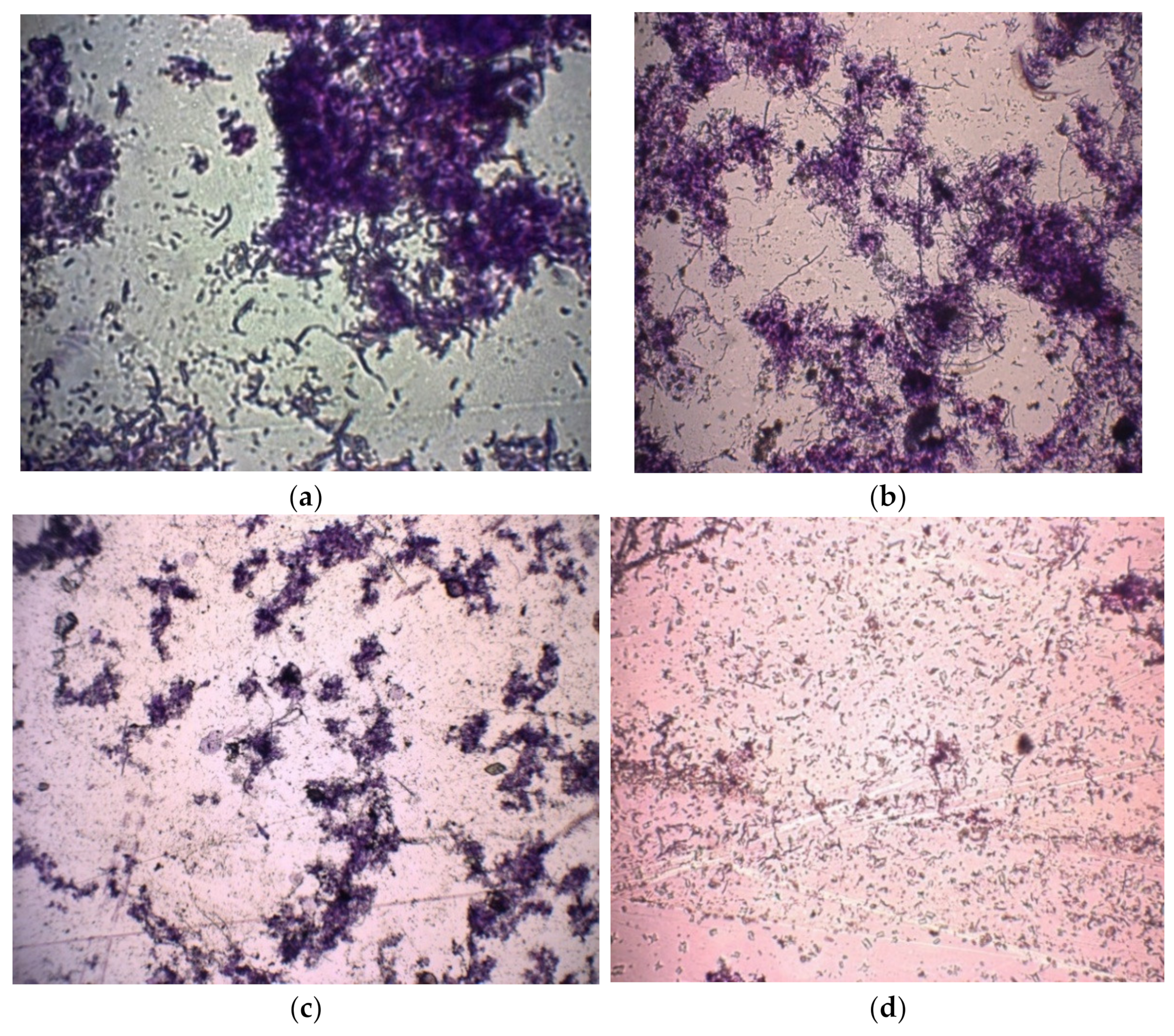 Applsci 11 07551 g006 550