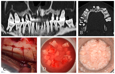 Applsci 11 07560 g001 550