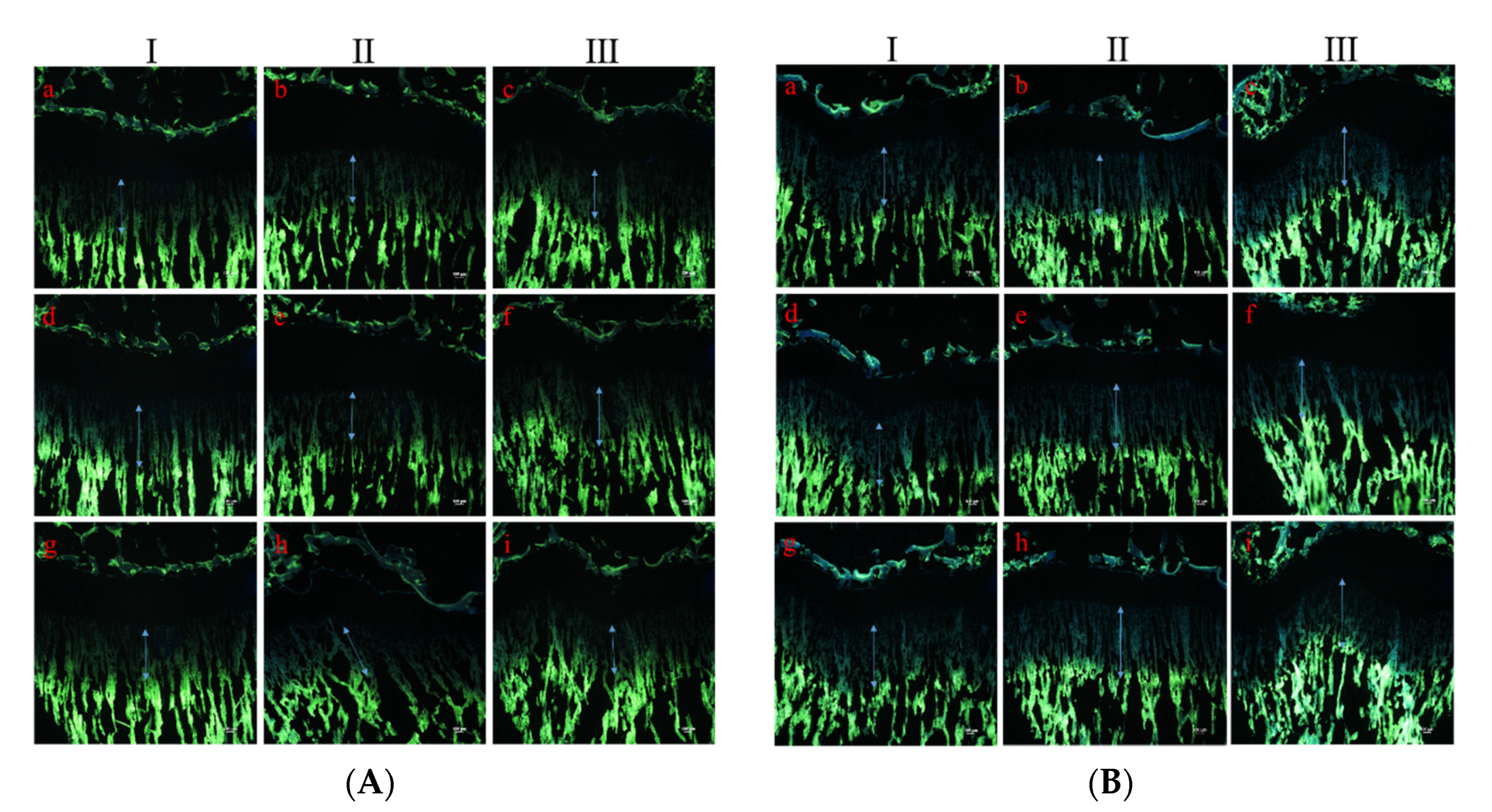 Applsci 11 07571 g004
