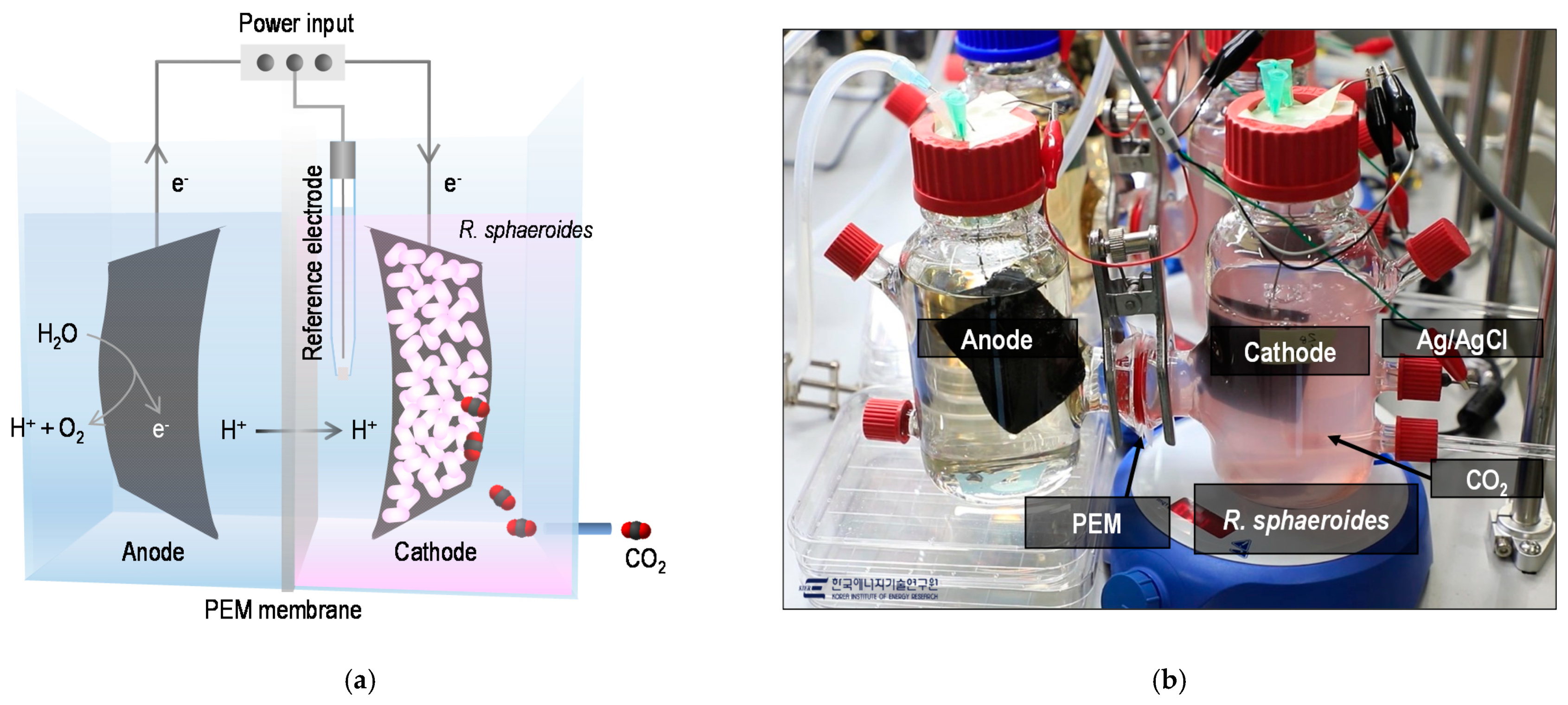 Applsci 11 07585 g002 550