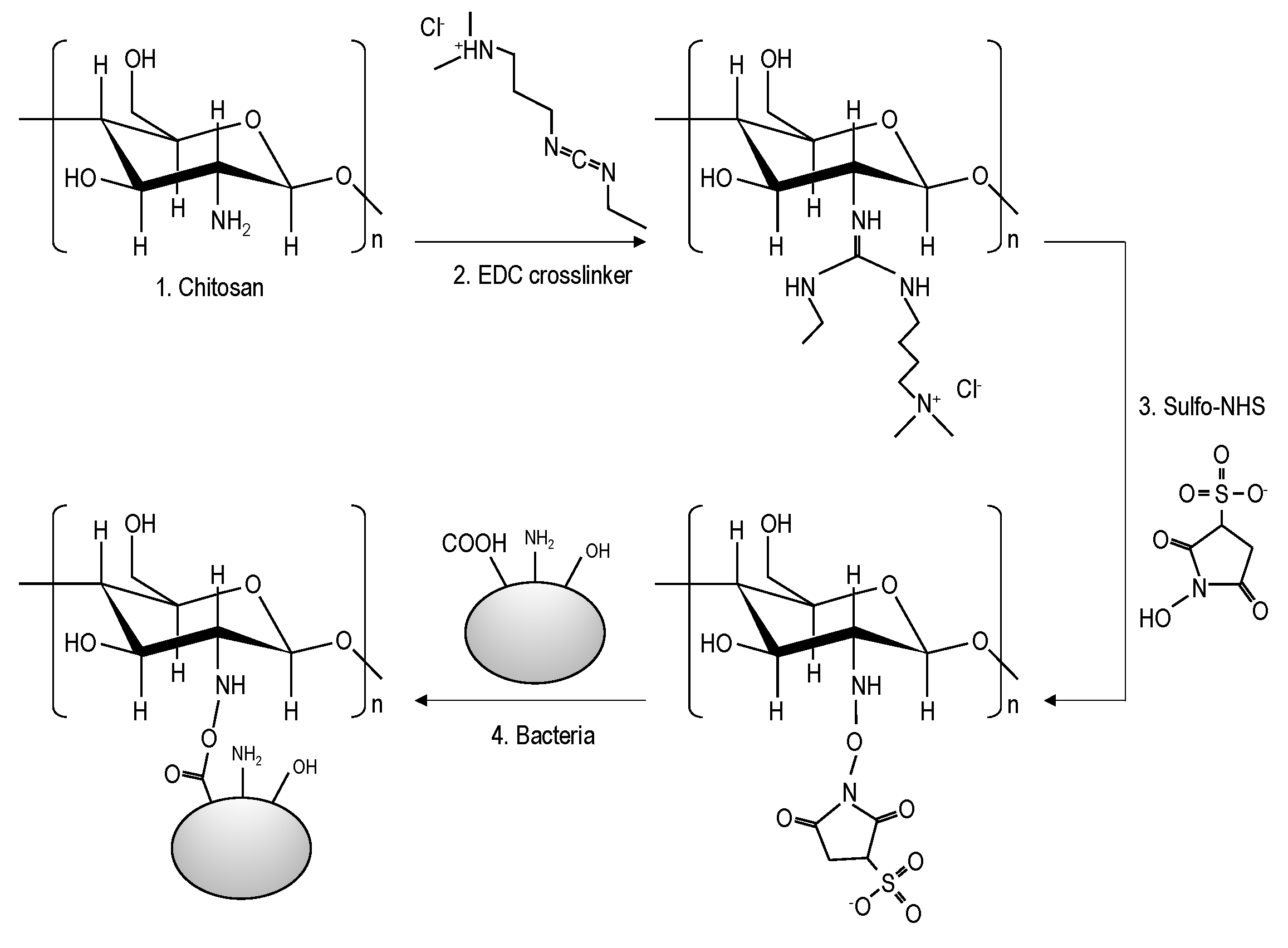Applsci 11 07585 g003 550