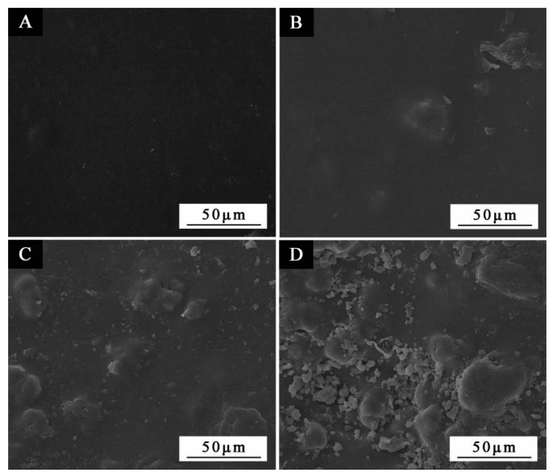 Applsci 11 07586 g004