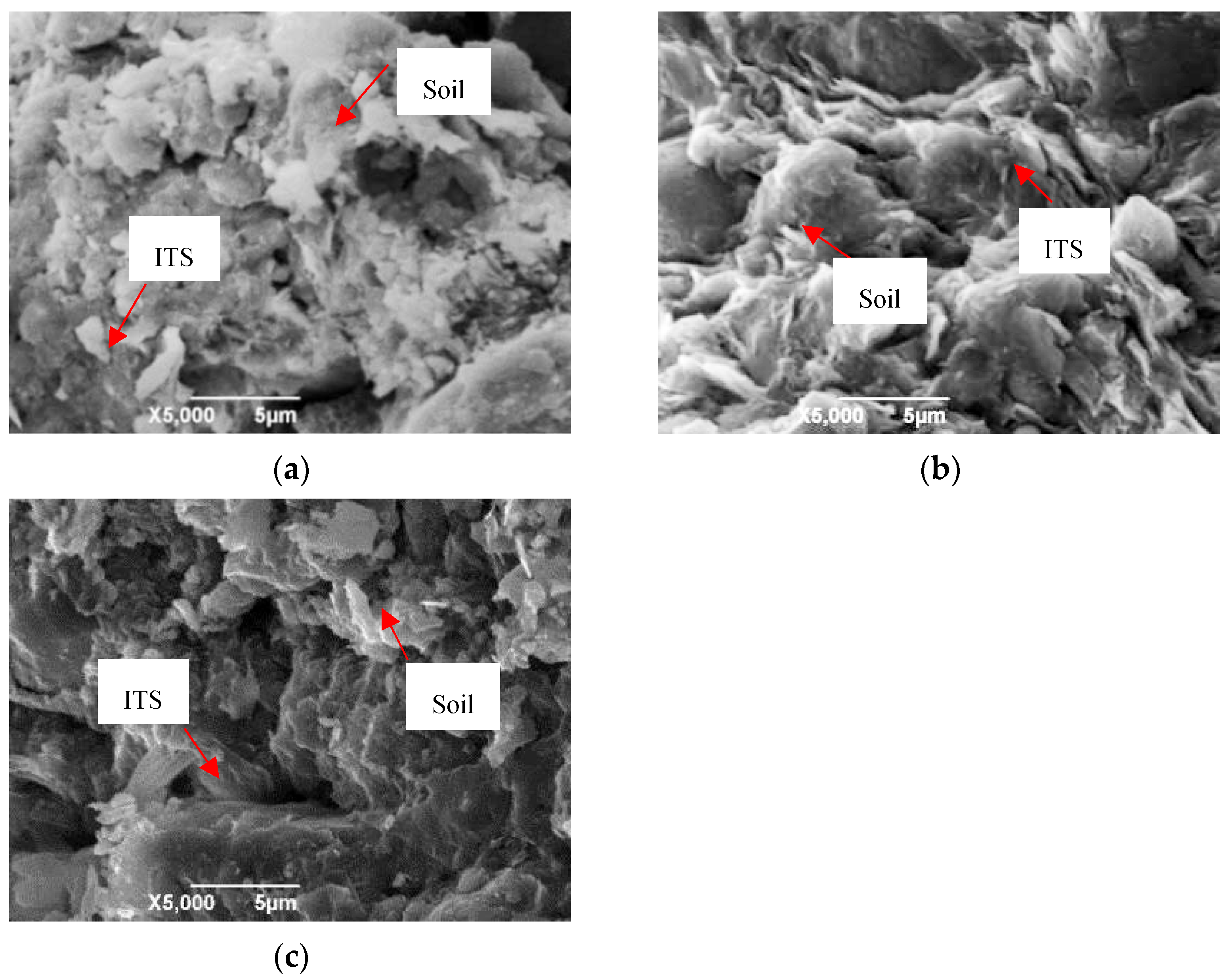 Applsci 11 07587 g011 550