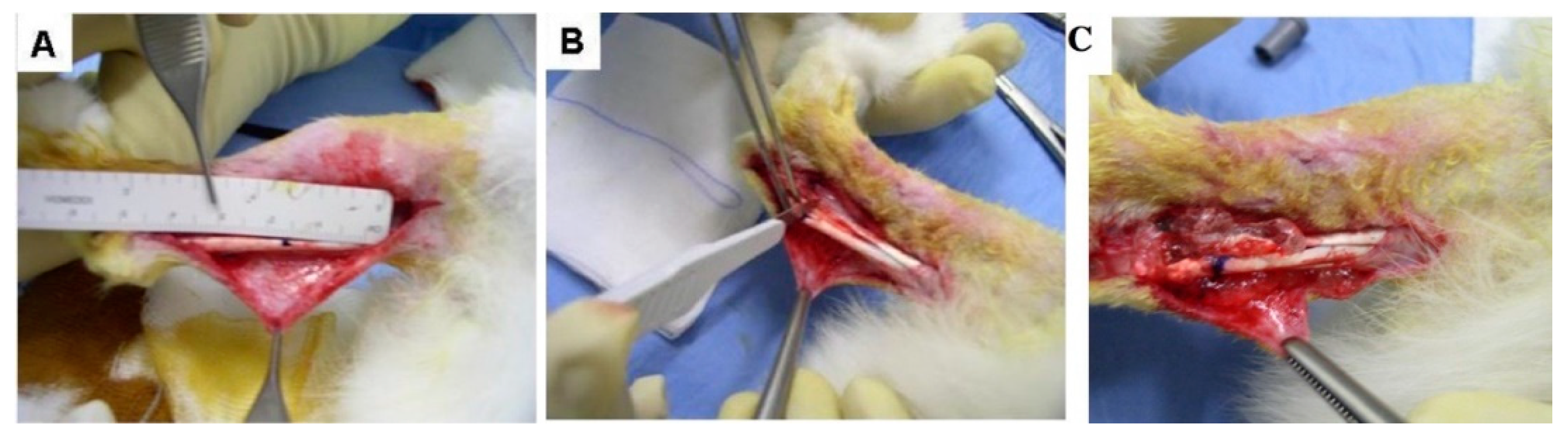 Applsci 11 07613 g001