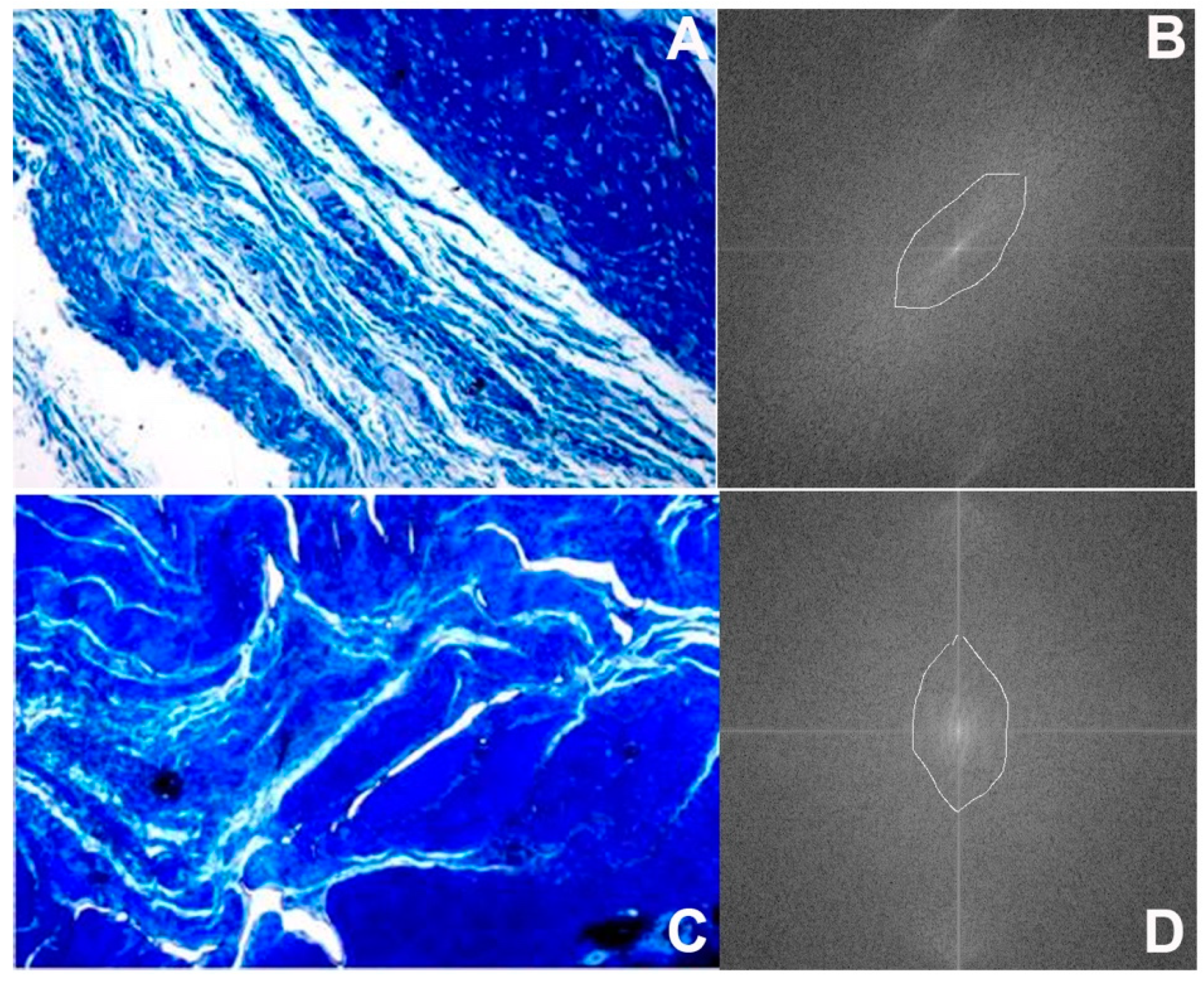 Applsci 11 07613 g005