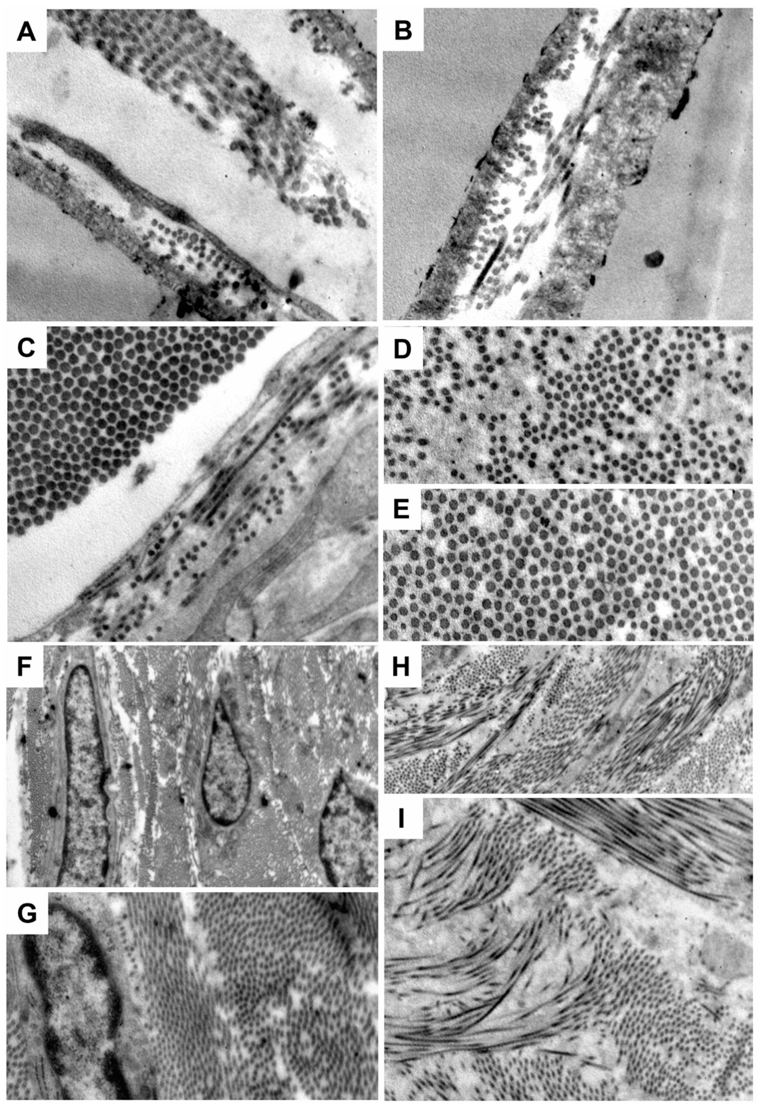 Applsci 11 07613 g006