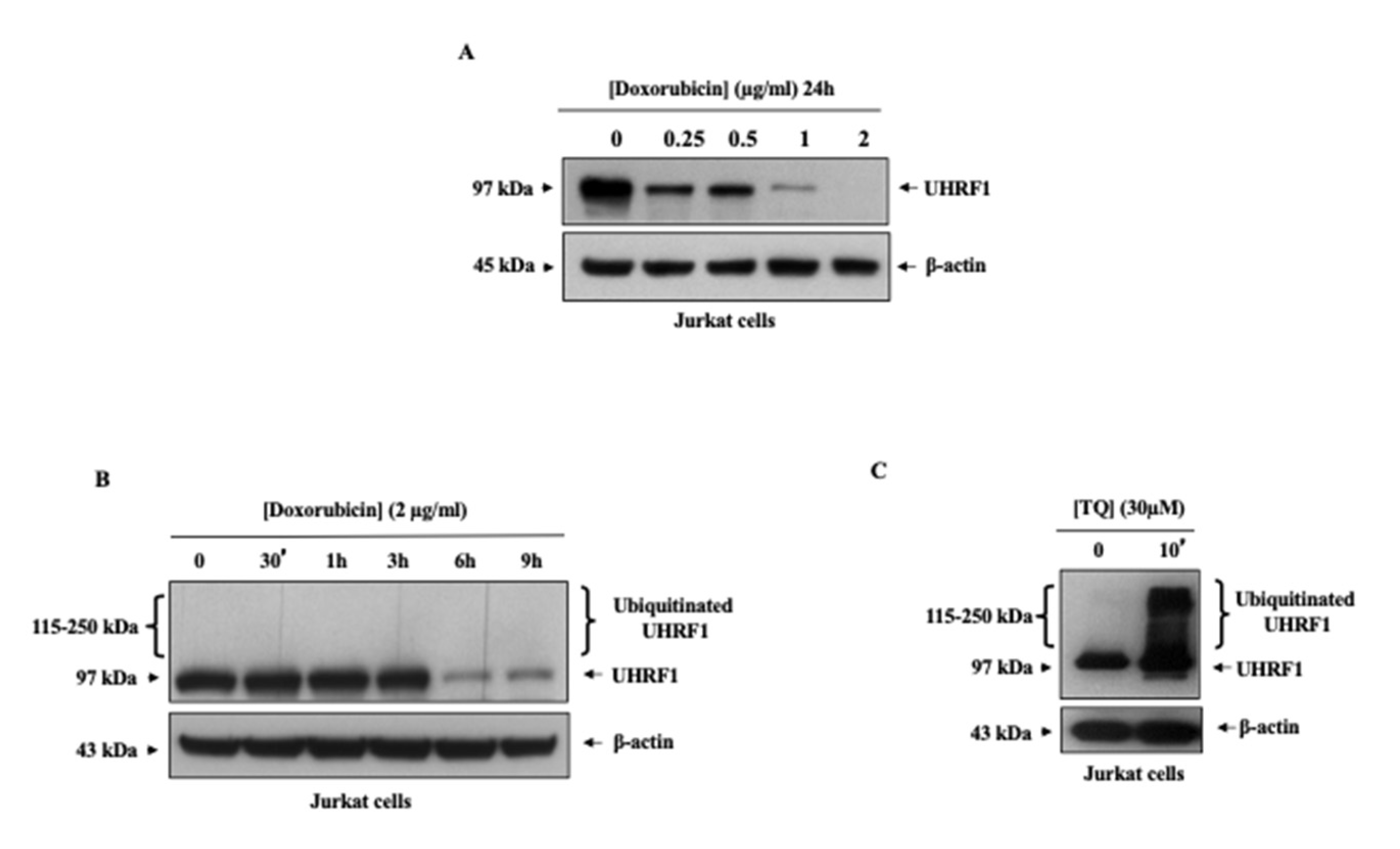 Applsci 11 07633 g003