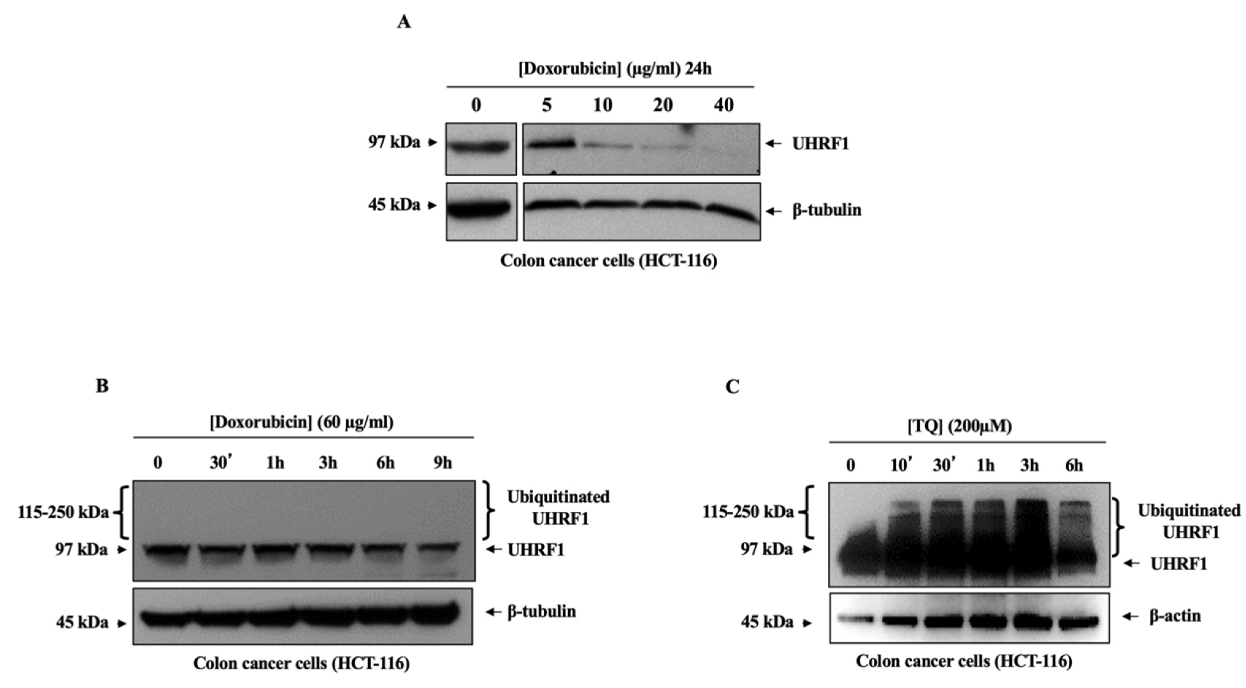 Applsci 11 07633 g004
