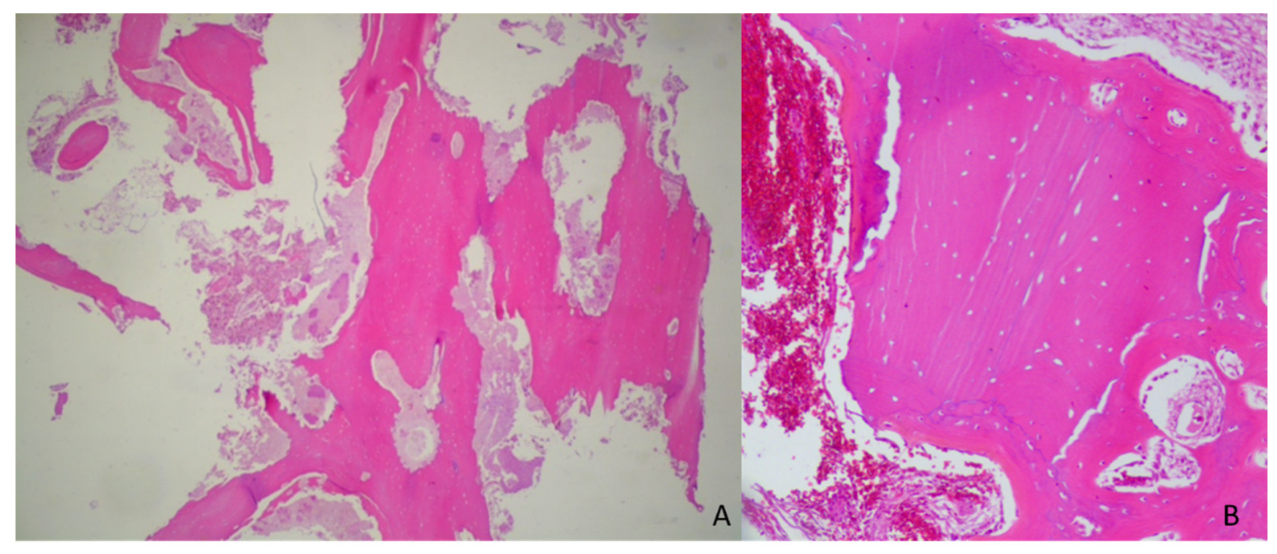 Applsci 11 07646 g002