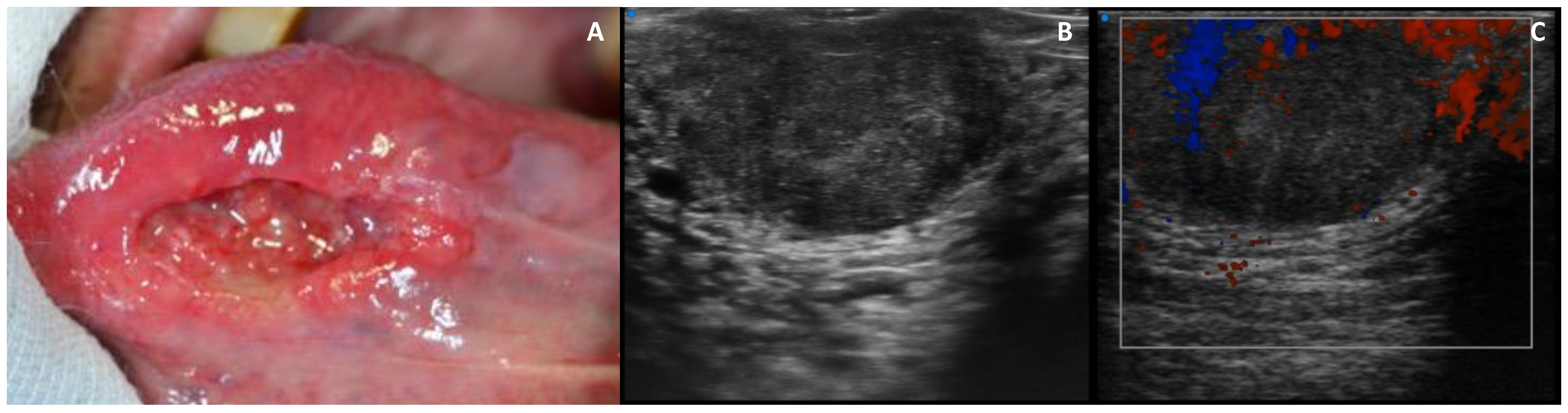 Applsci 11 07647 g001 550