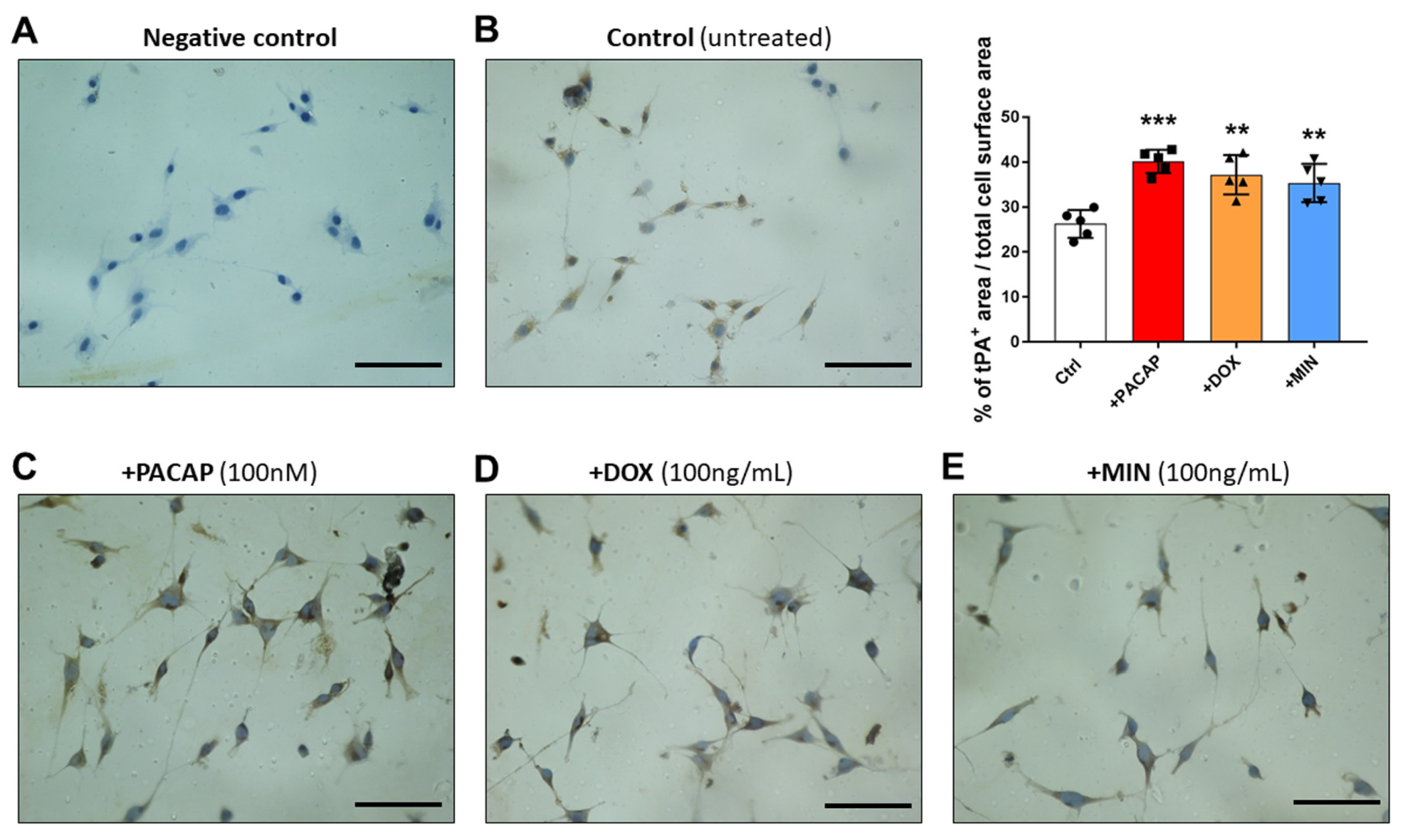 Applsci 11 07673 g004 550