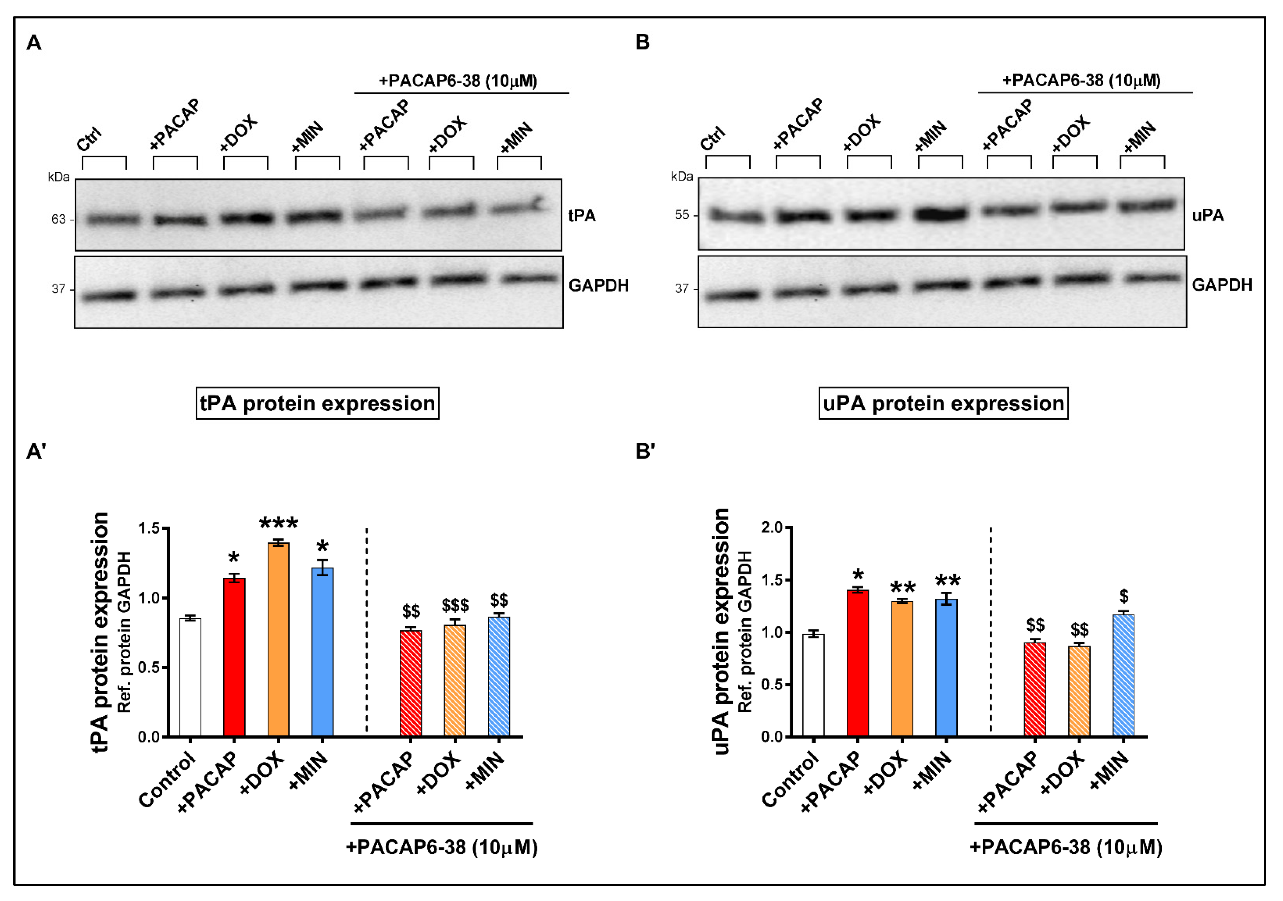 Applsci 11 07673 g006 550