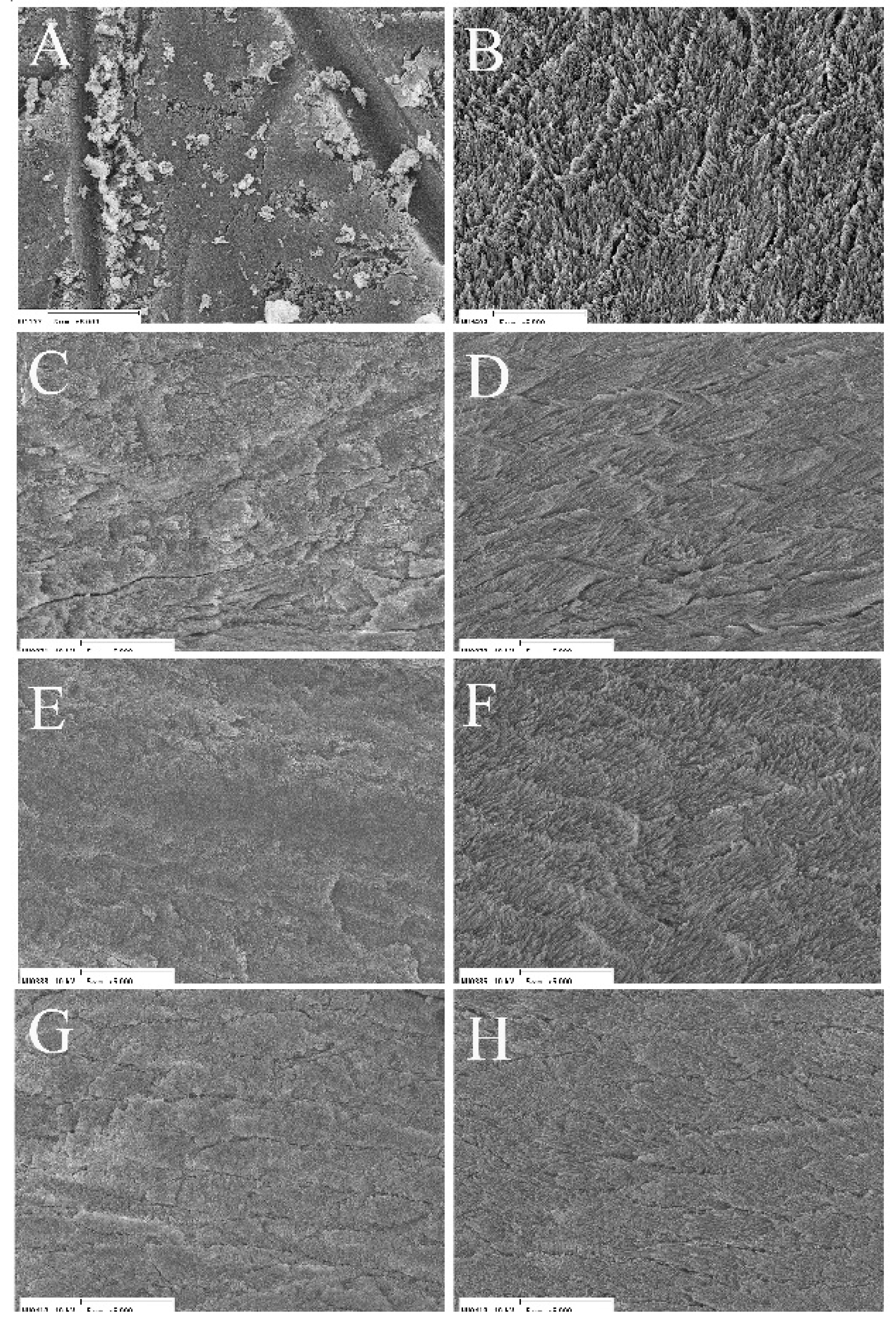 Applsci 11 07675 g006 Applsci 11 07675 g006