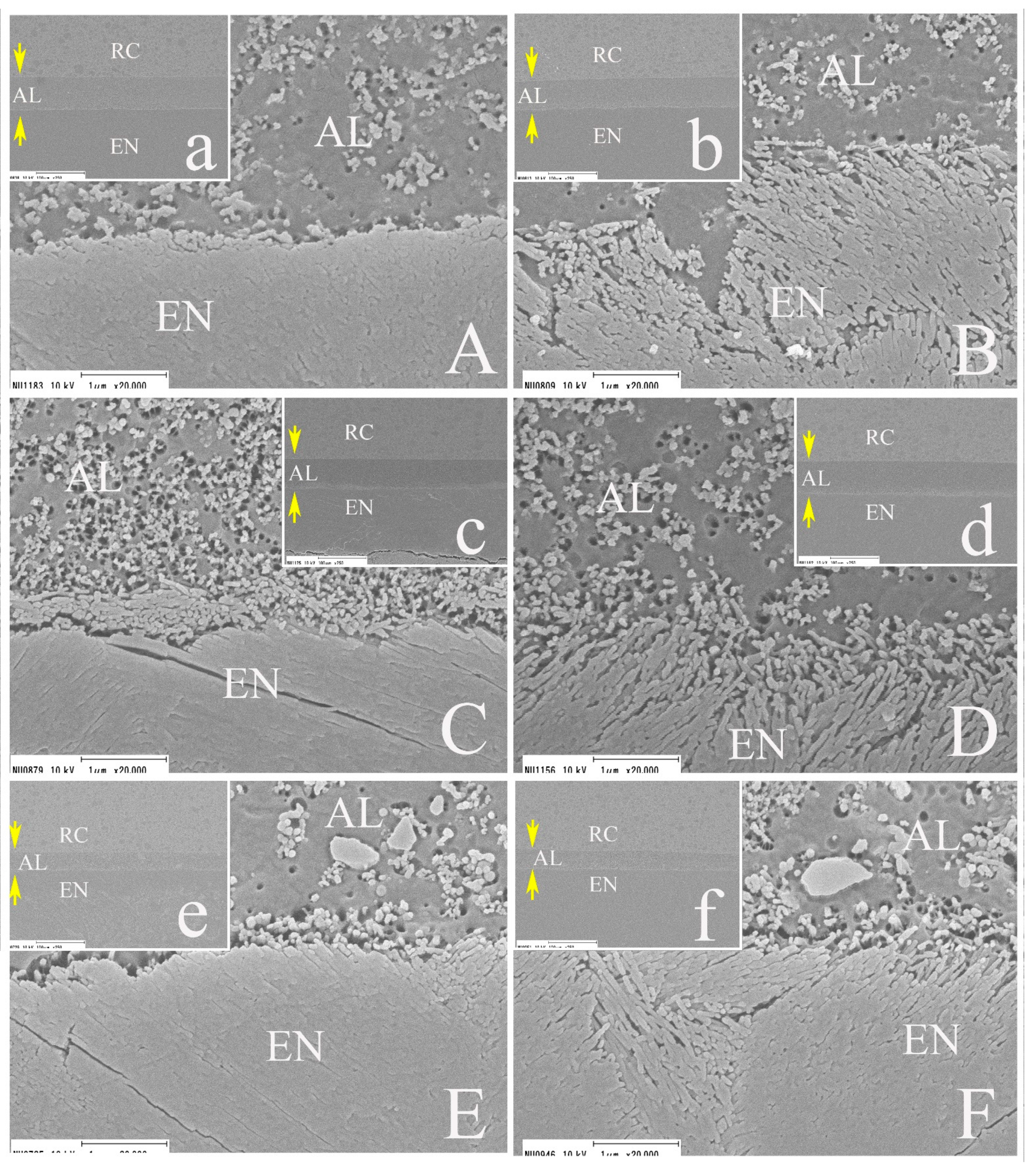 Applsci 11 07675 g008 Applsci 11 07675 g008