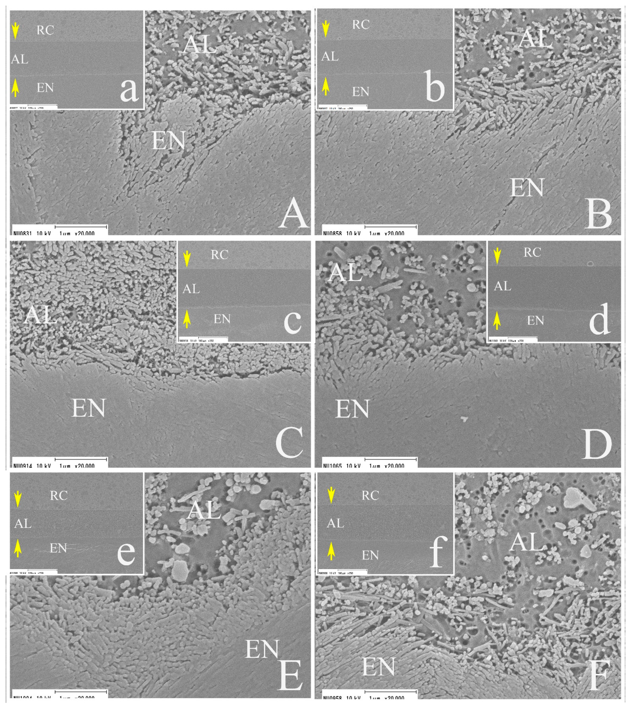 Applsci 11 07675 g009 Applsci 11 07675 g009