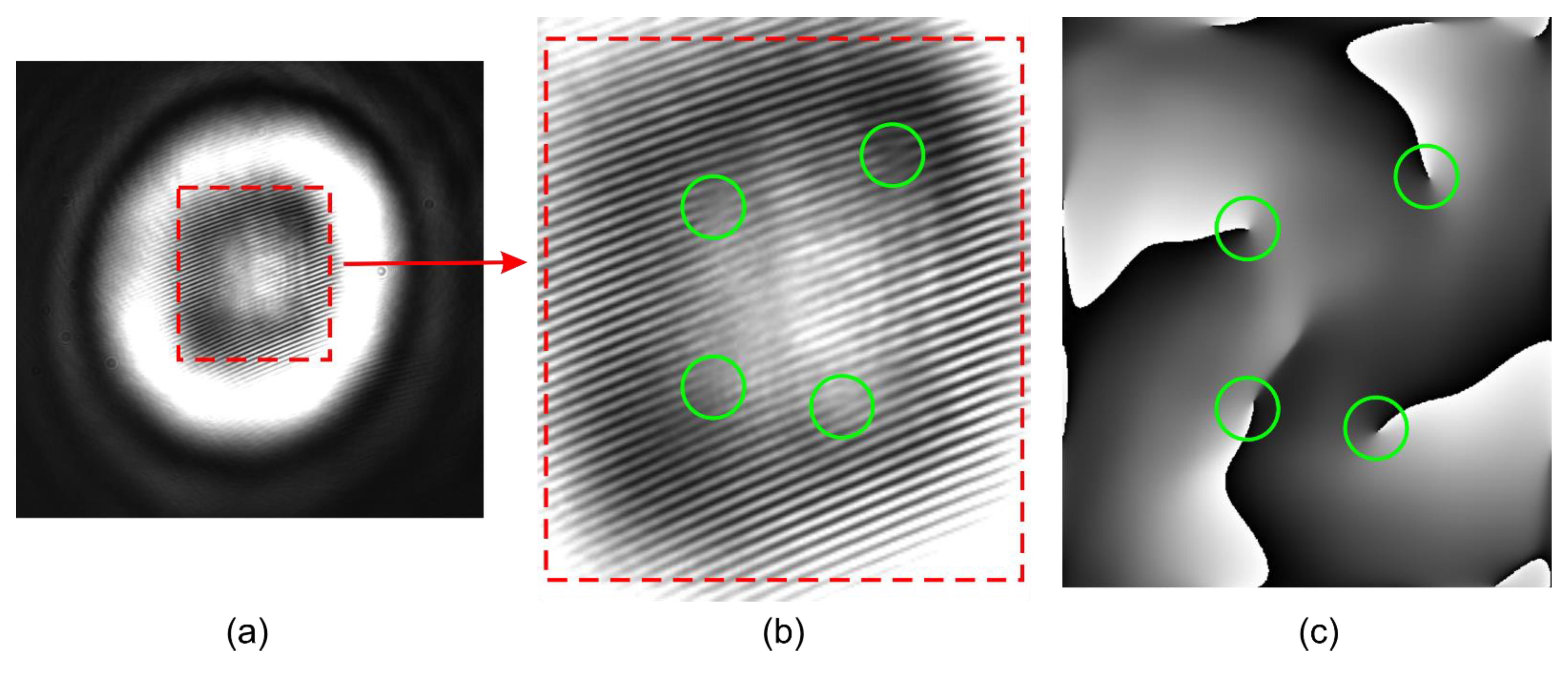 Applsci 11 07677 g009 550