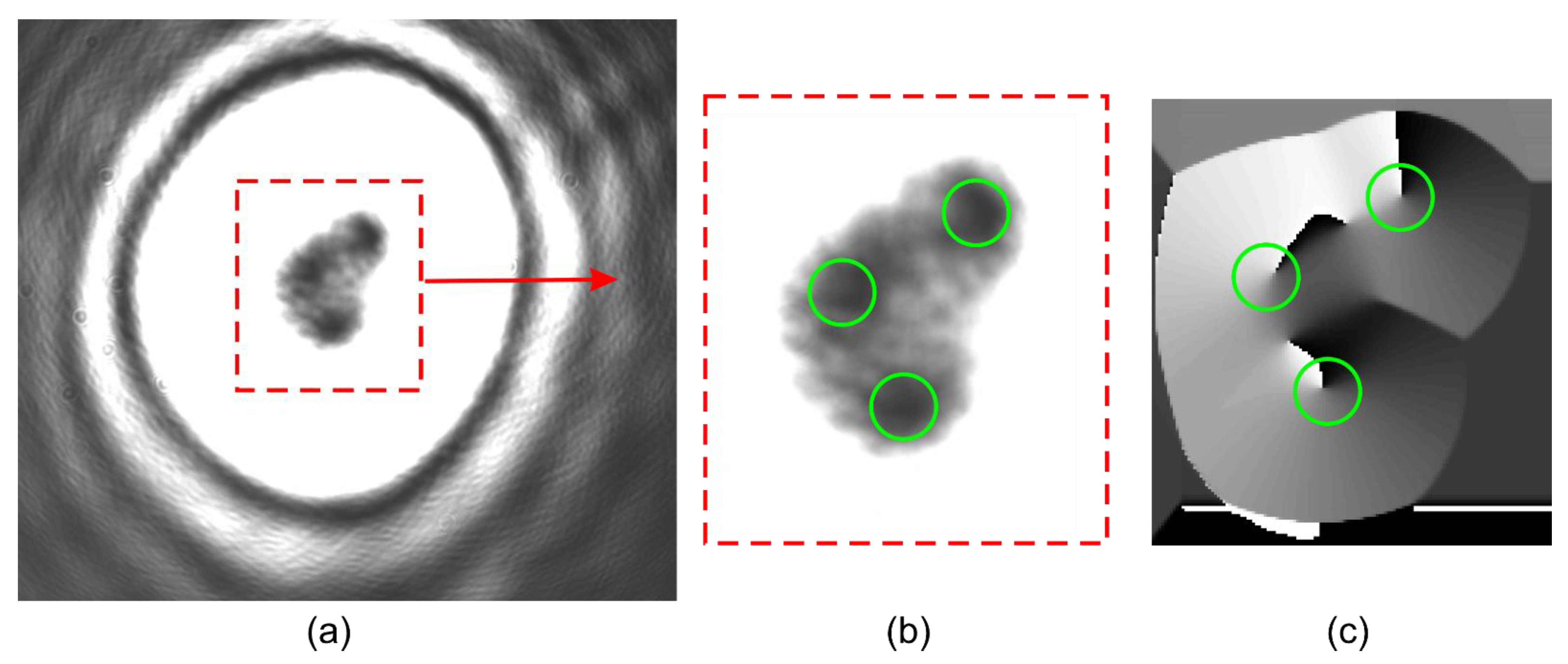 Applsci 11 07677 g011 550