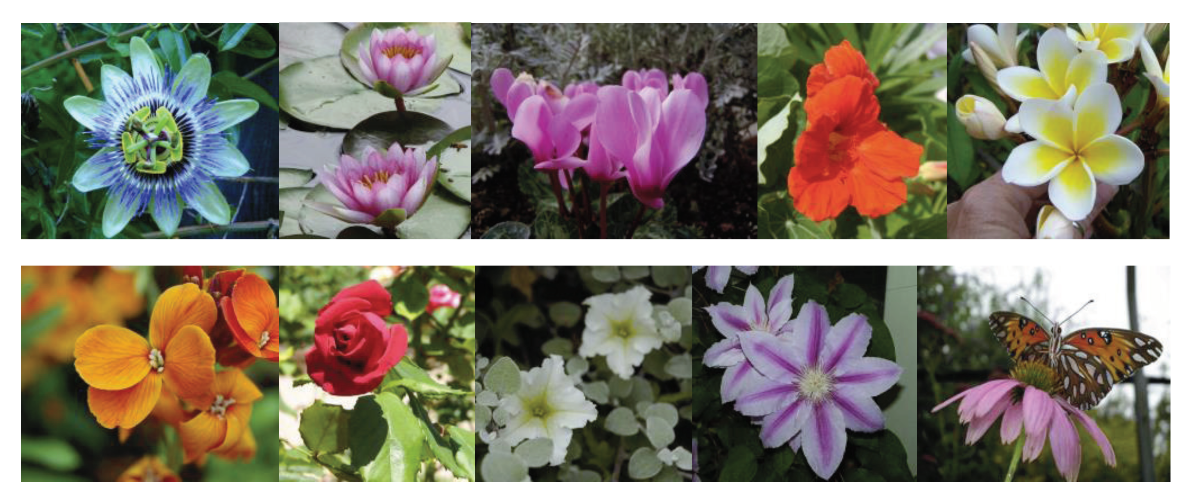 Applsci 11 07701 g005 550