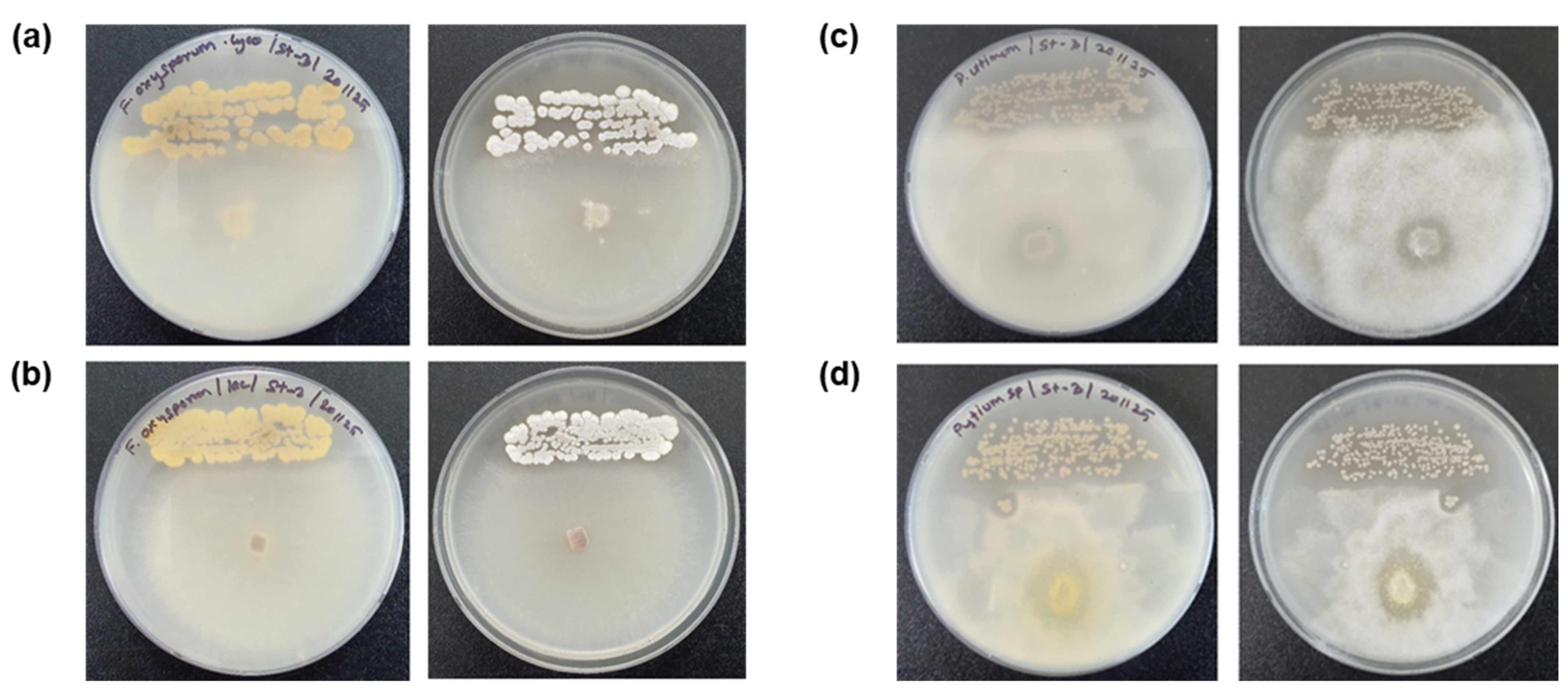 Applsci 11 07703 g003 Applsci 11 07703 g003