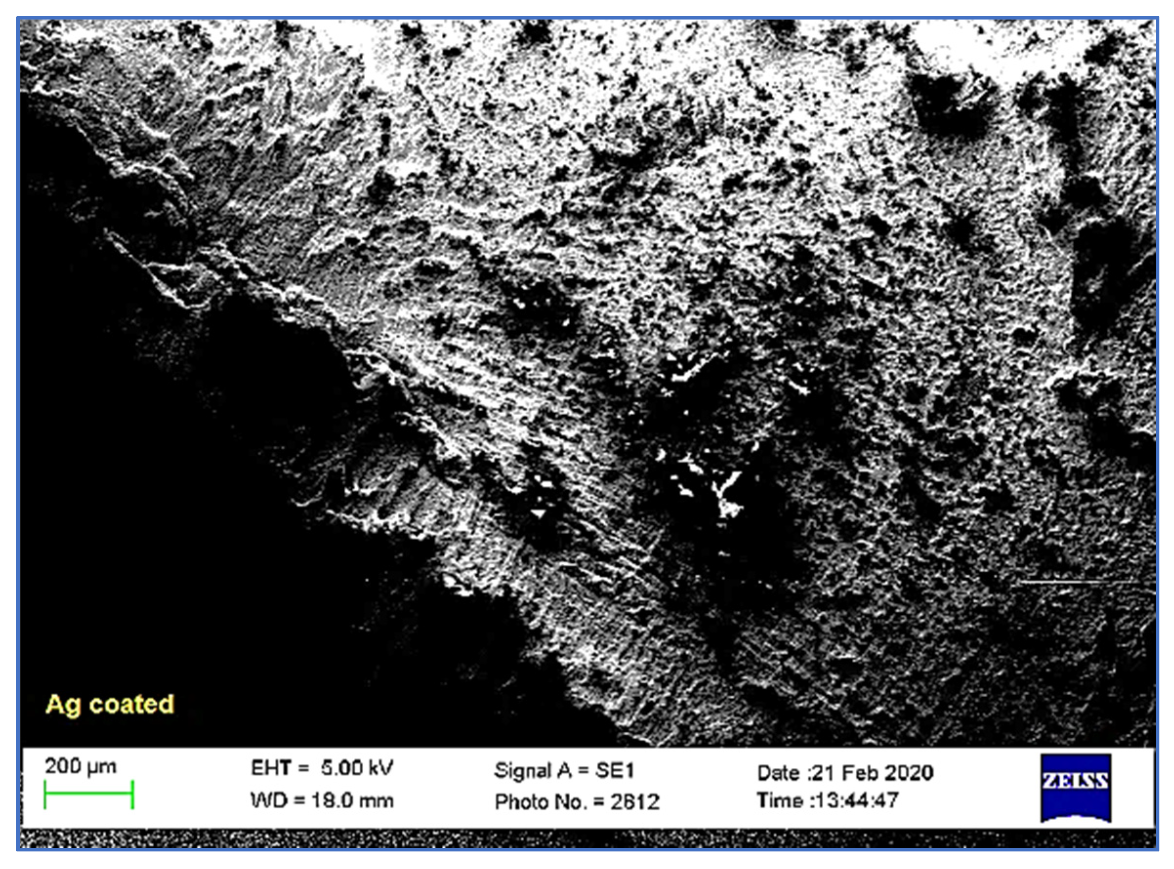 Applsci 11 07706 g008