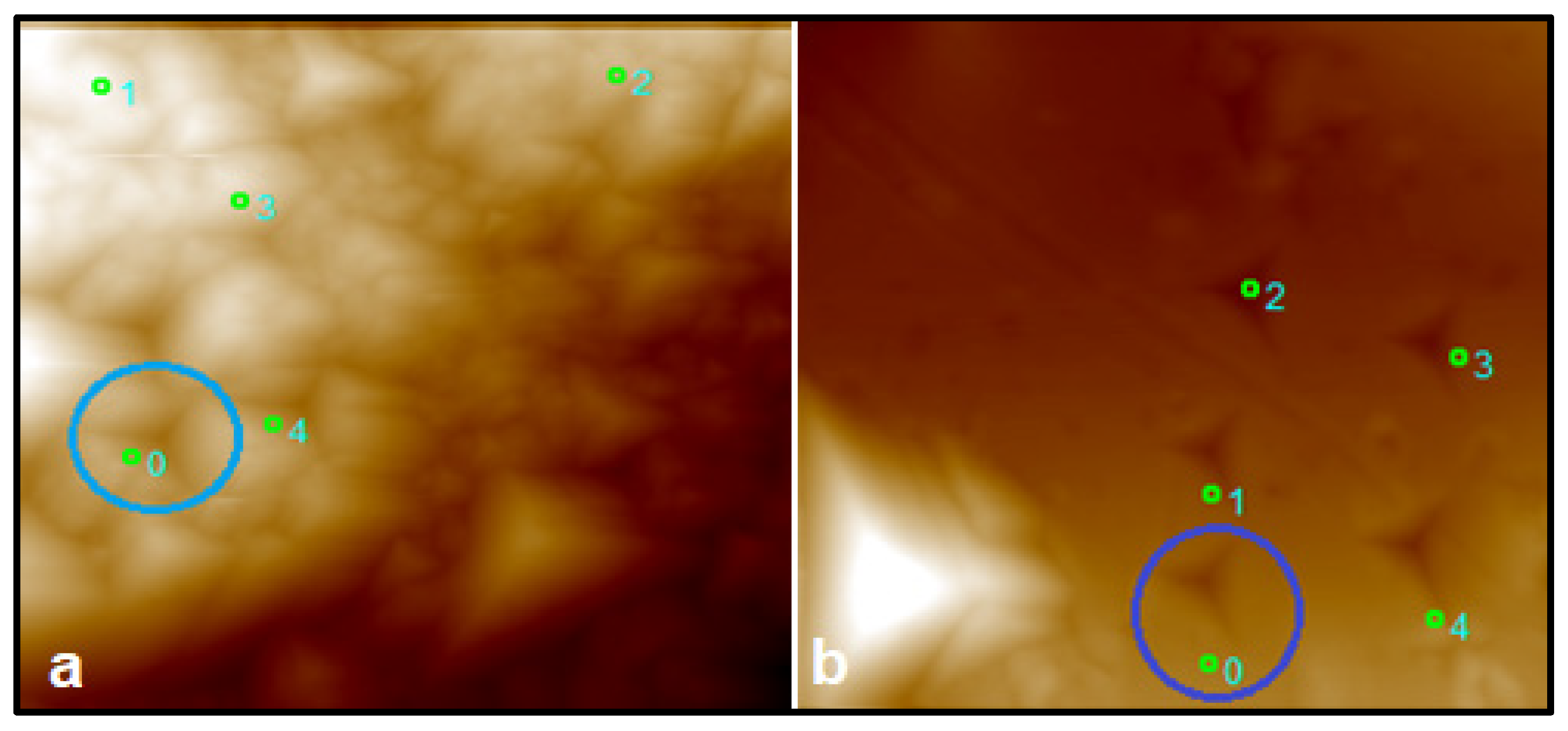 Applsci 11 07706 g012