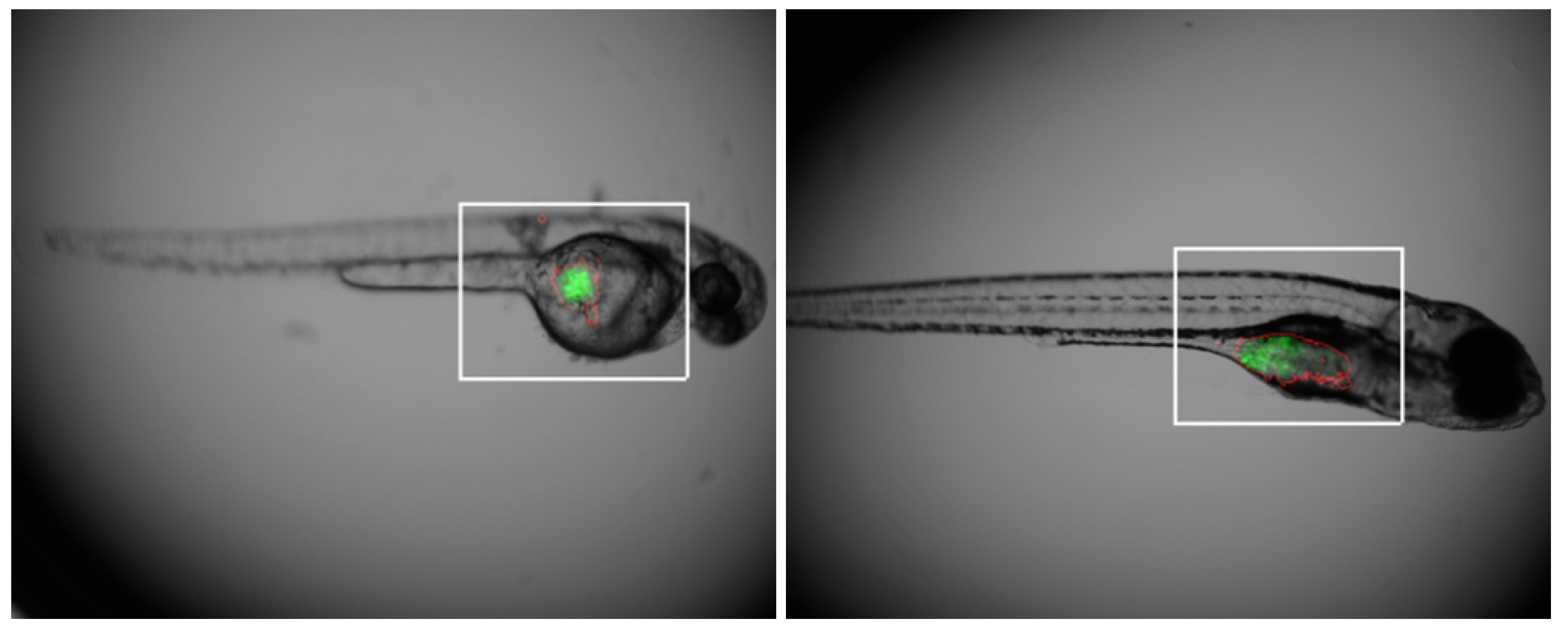 Applsci 11 07721 g001