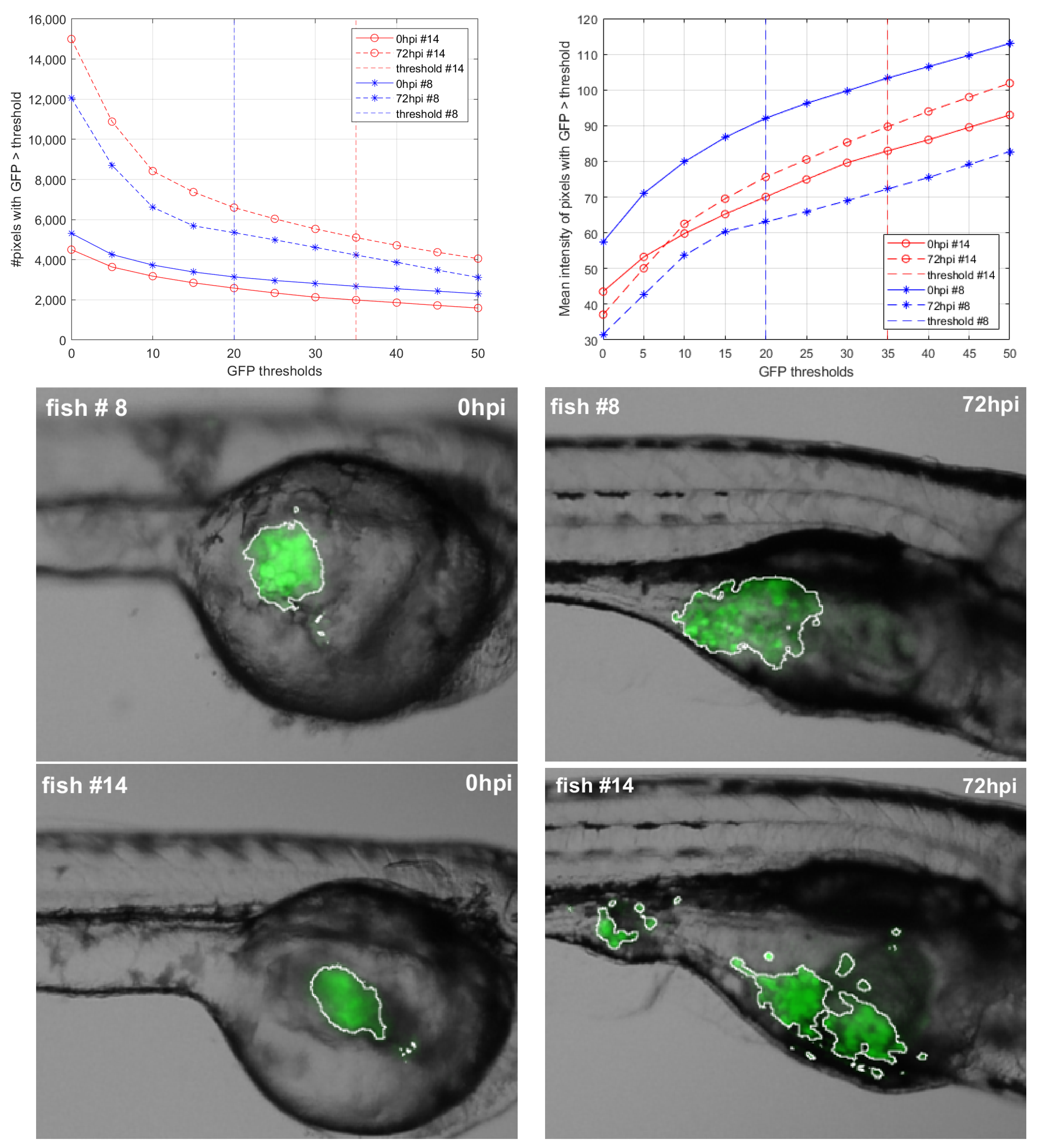 Applsci 11 07721 g003