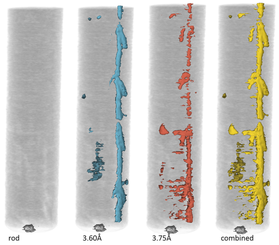 Applsci 11 07750 g004 550