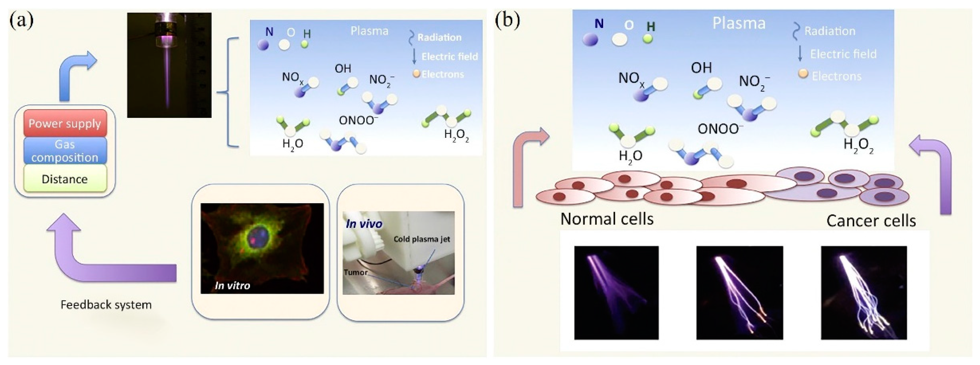 Applsci 11 07757 g006