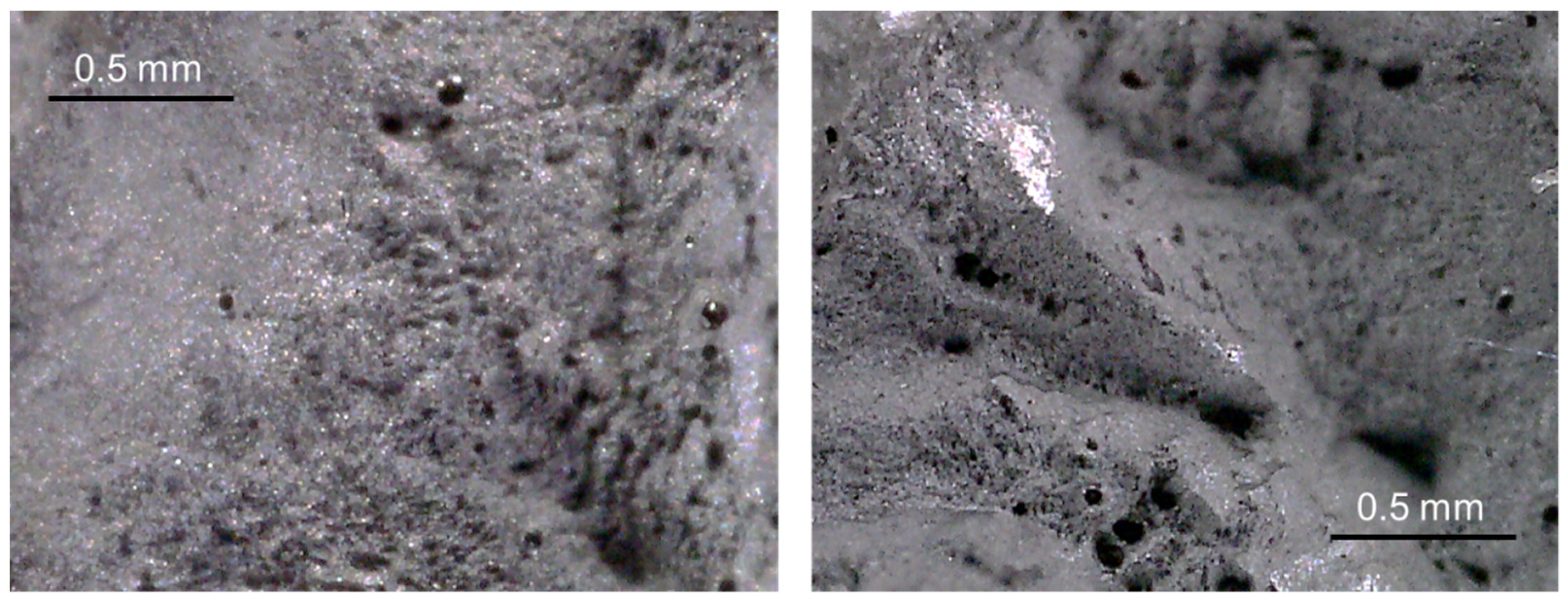 Applsci 11 07765 g011 550