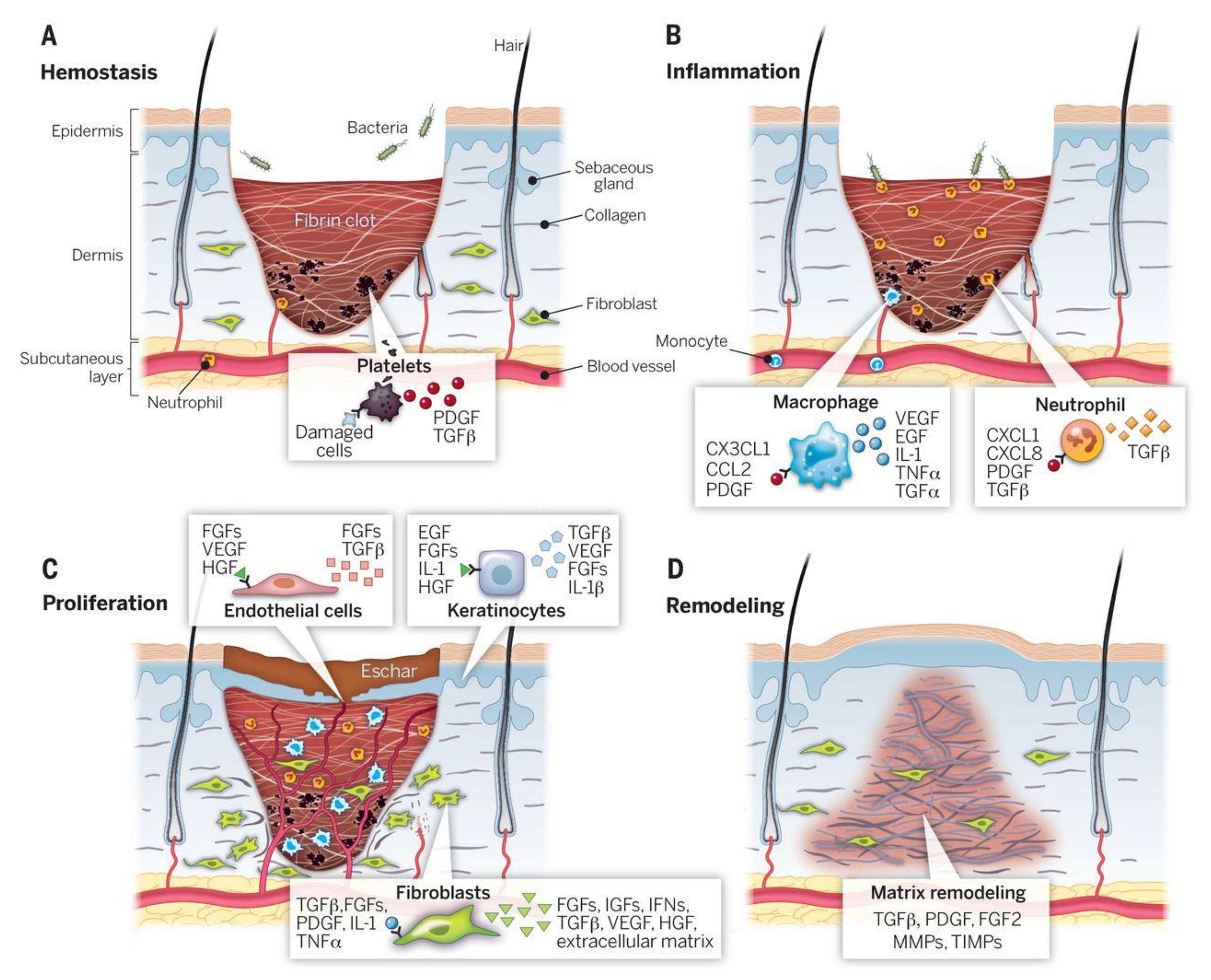 Applsci 11 07769 g001 550