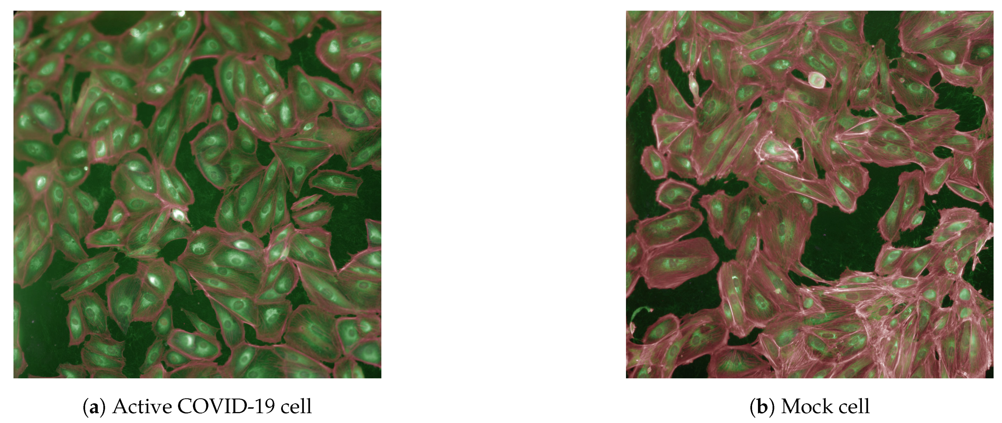 Applsci 11 07772 g001 550