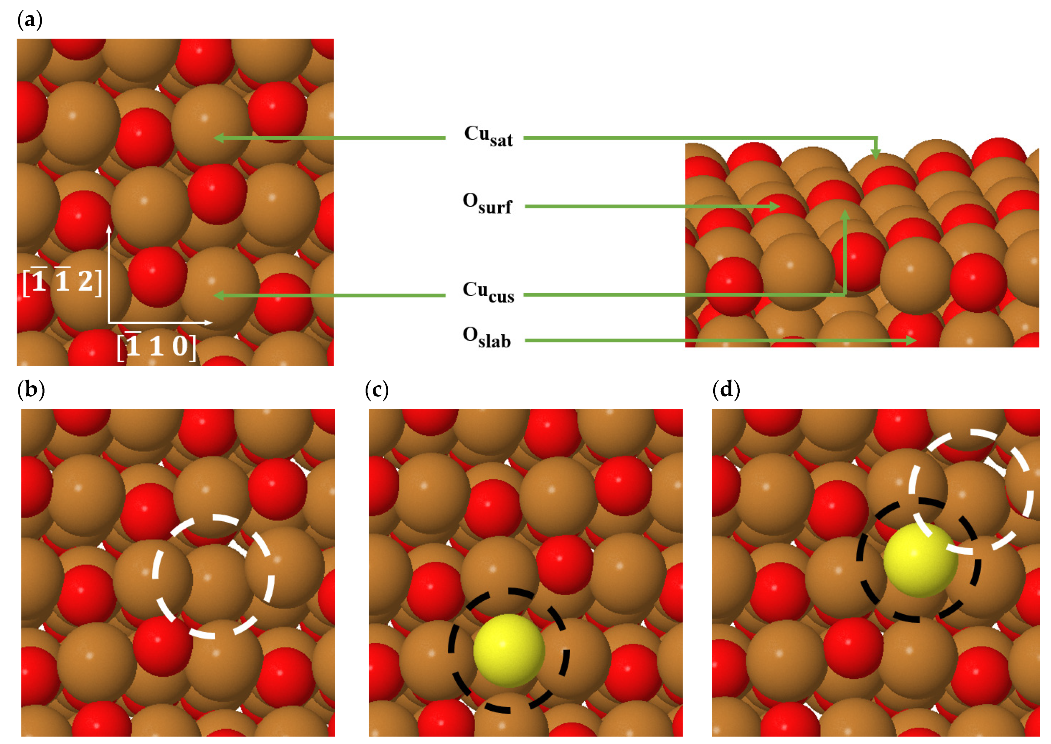 Applsci 11 07775 g005 550