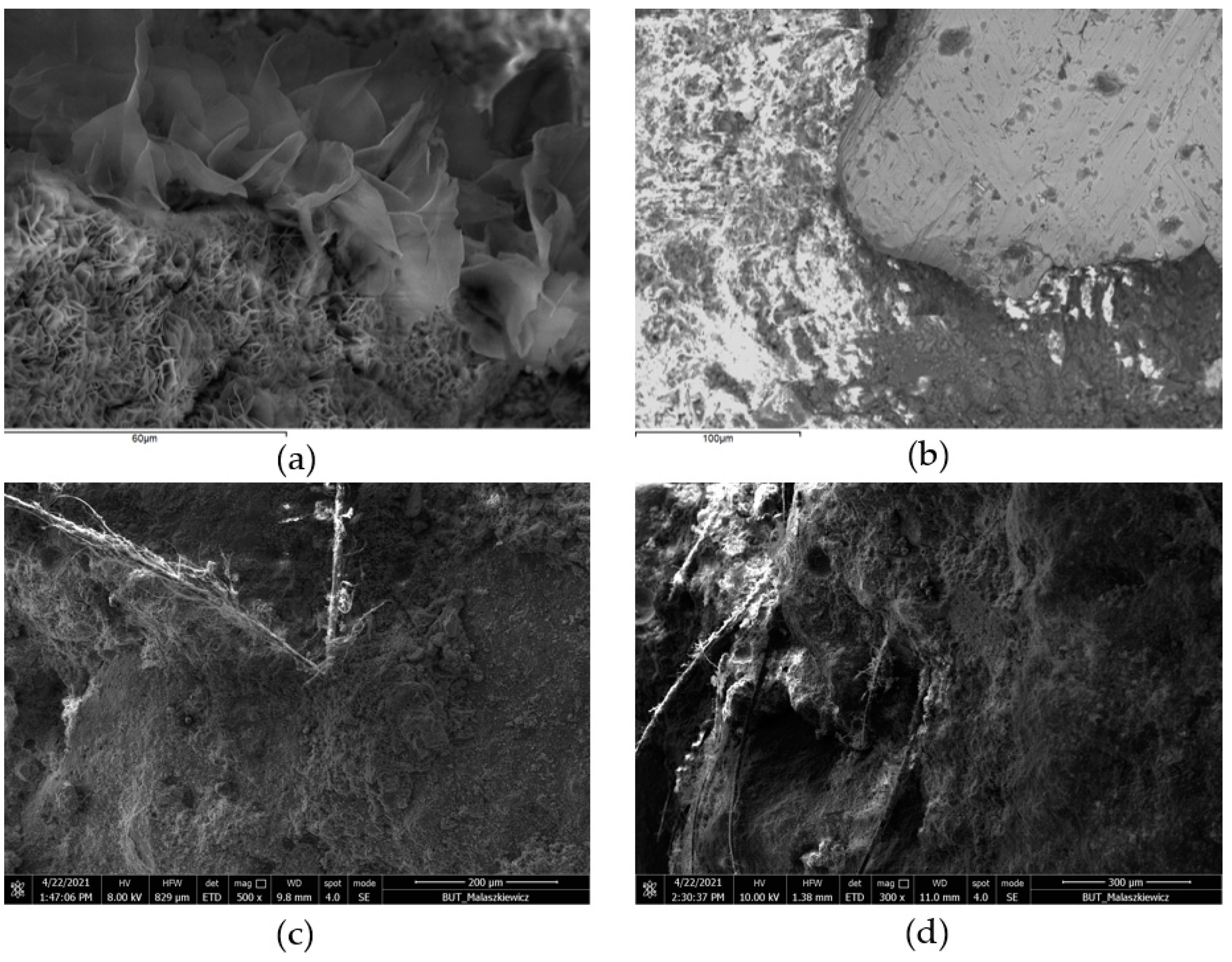 Applsci 11 07791 g005