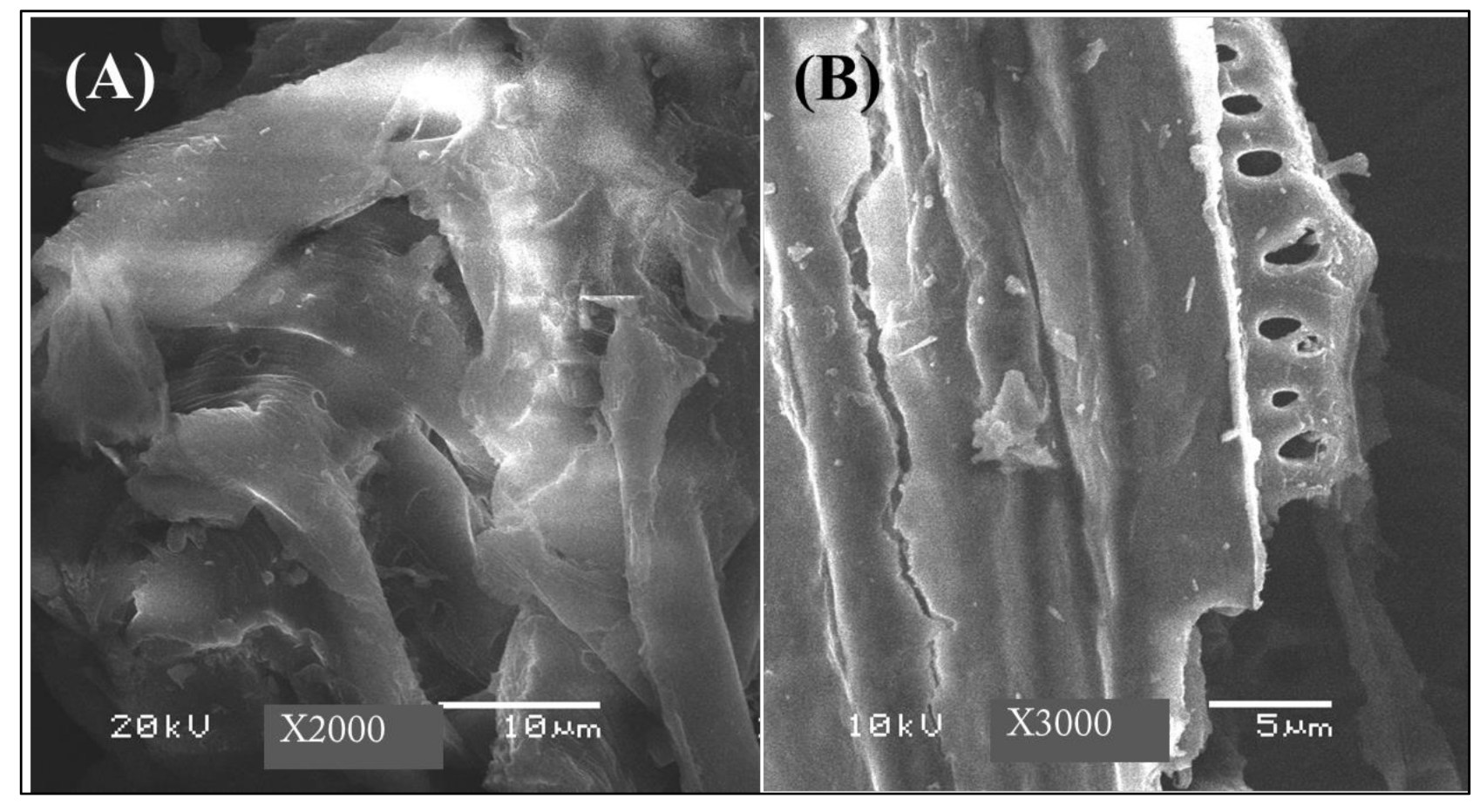 Applsci 11 07792 g001