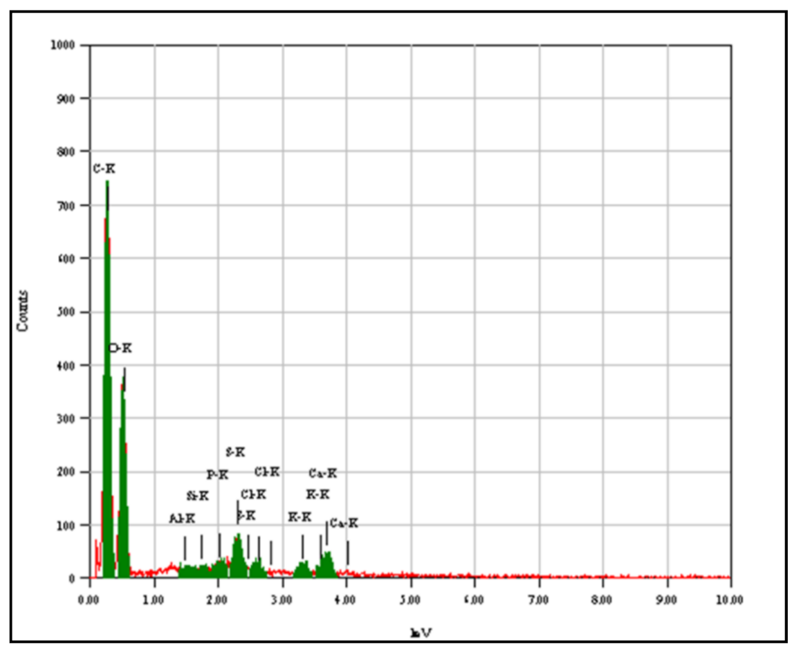 Applsci 11 07792 g002