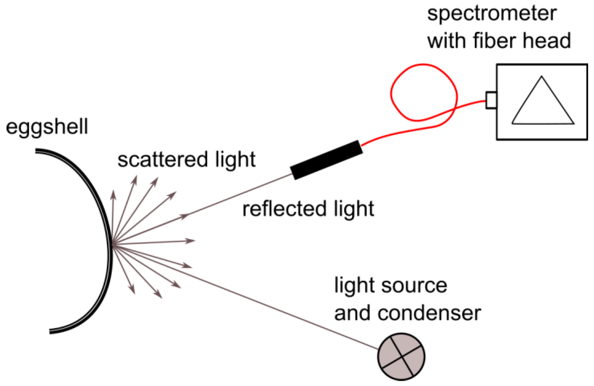 Applsci 11 07799 g001 Applsci 11 07799 g001