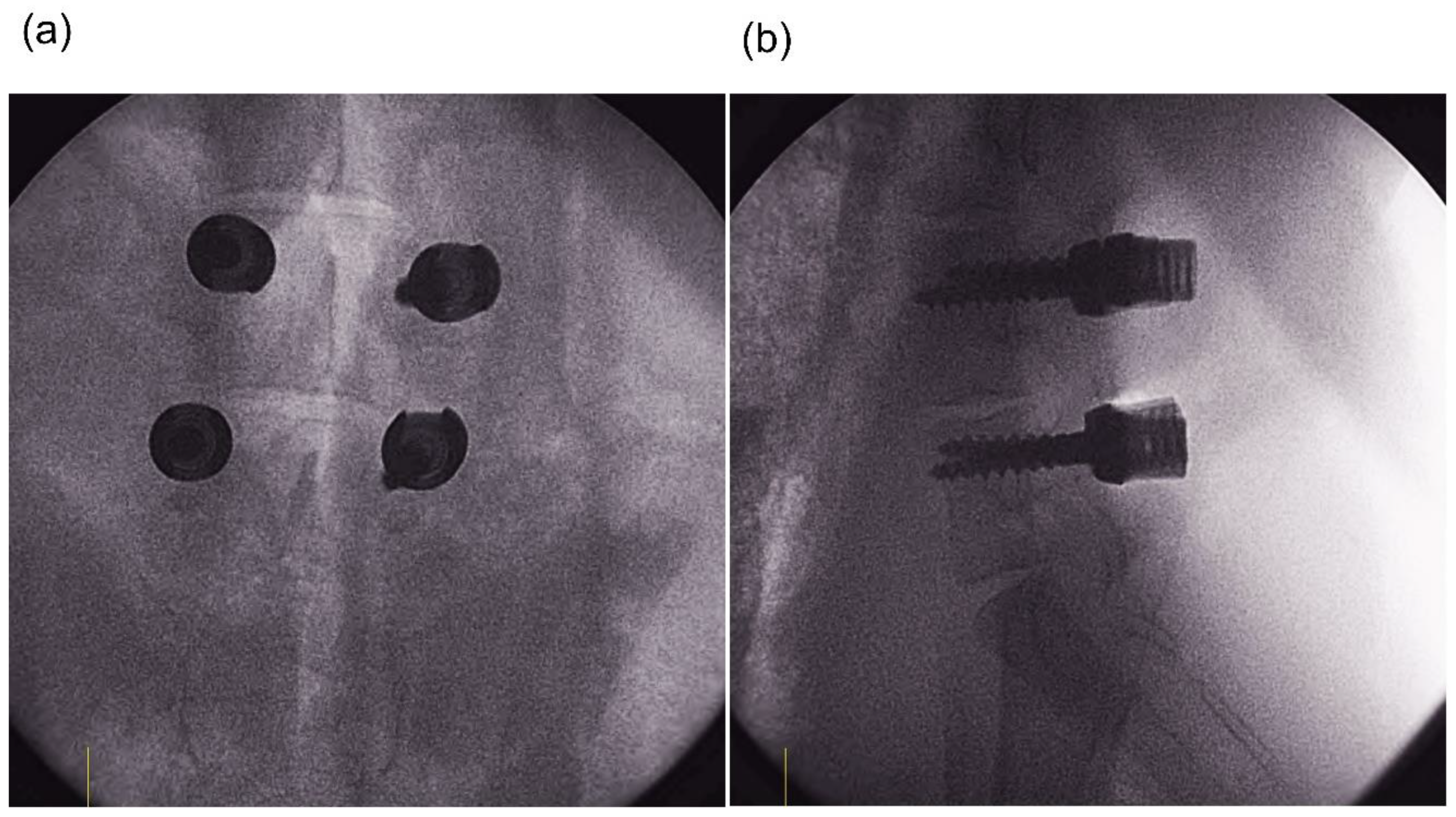 Applsci 11 07801 g004 Applsci 11 07801 g004