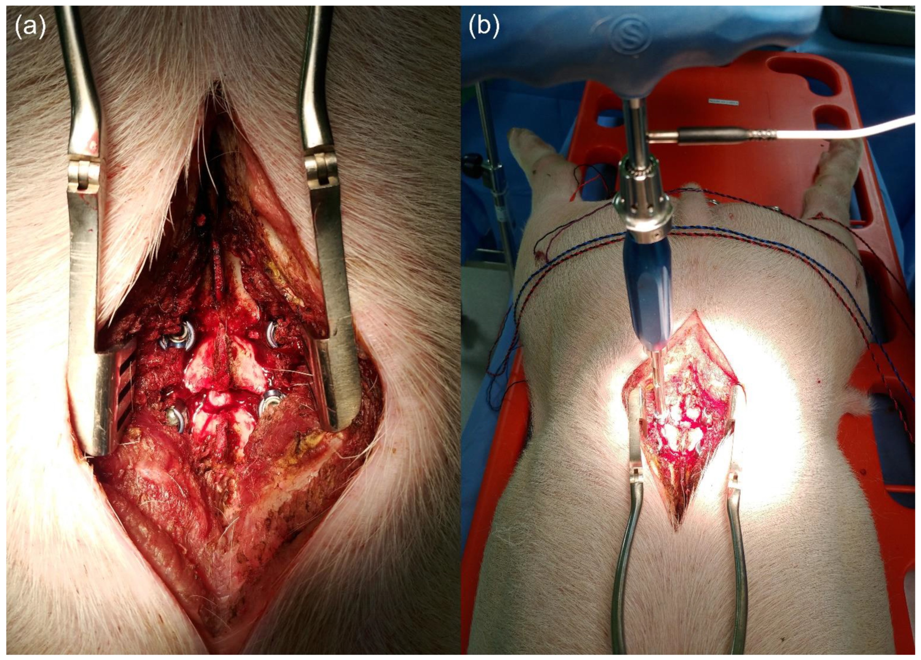 Applsci 11 07801 g005 Applsci 11 07801 g005