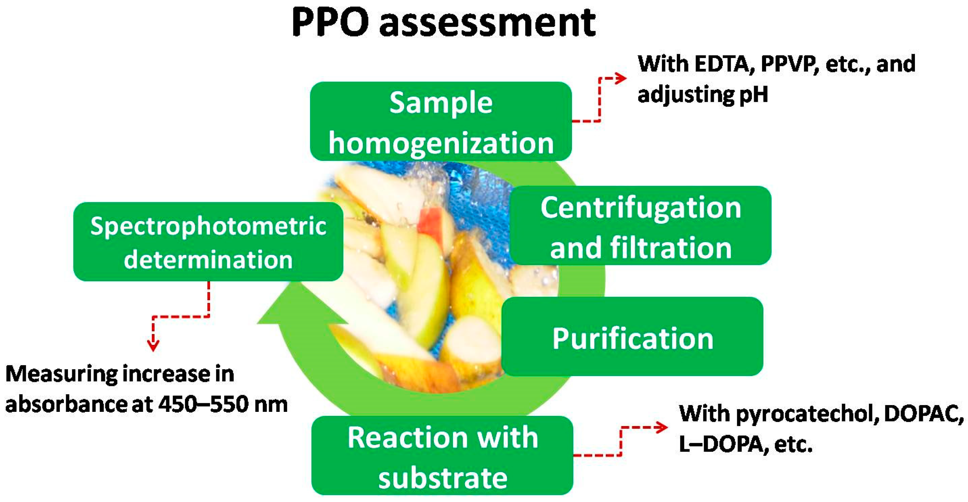 Applsci 11 07813 g005