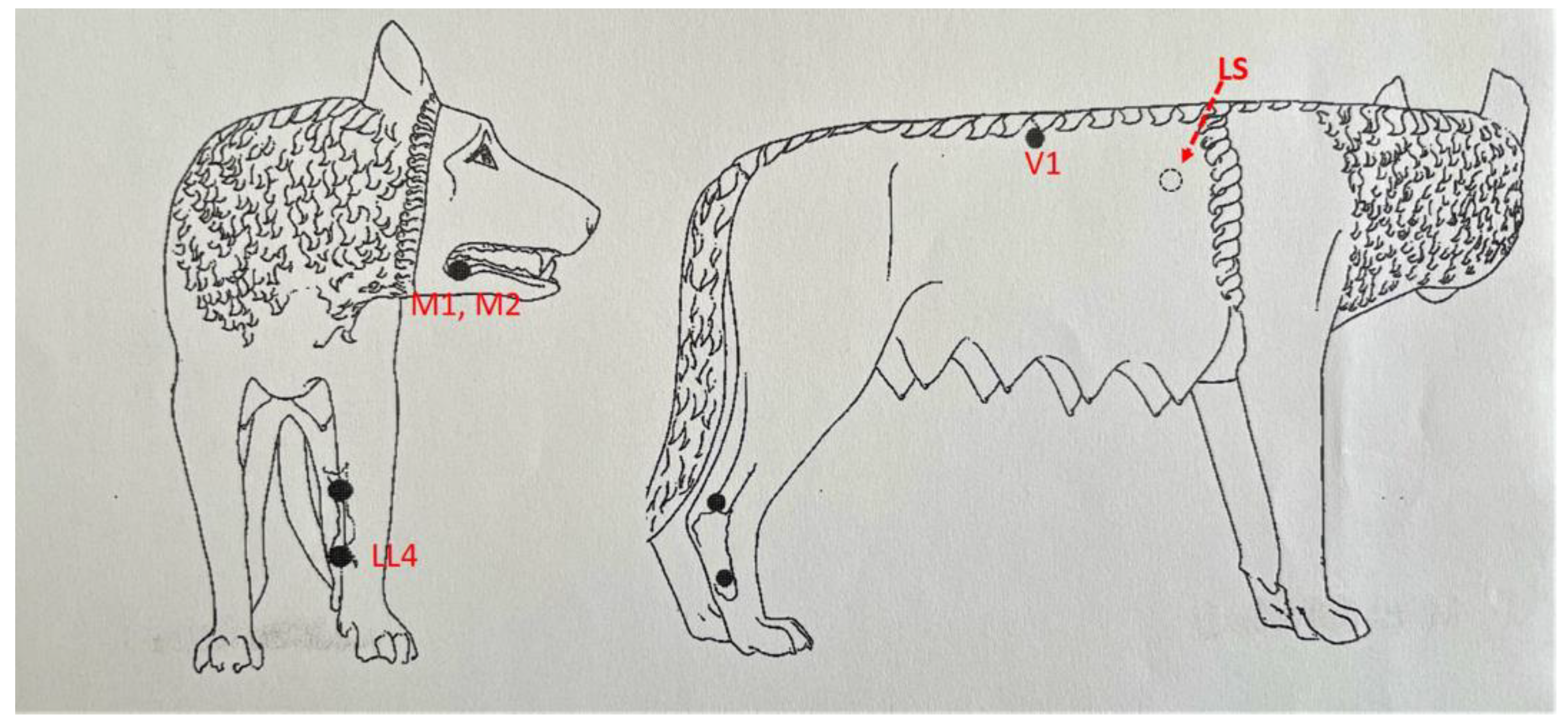 Applsci 11 07820 g002 550