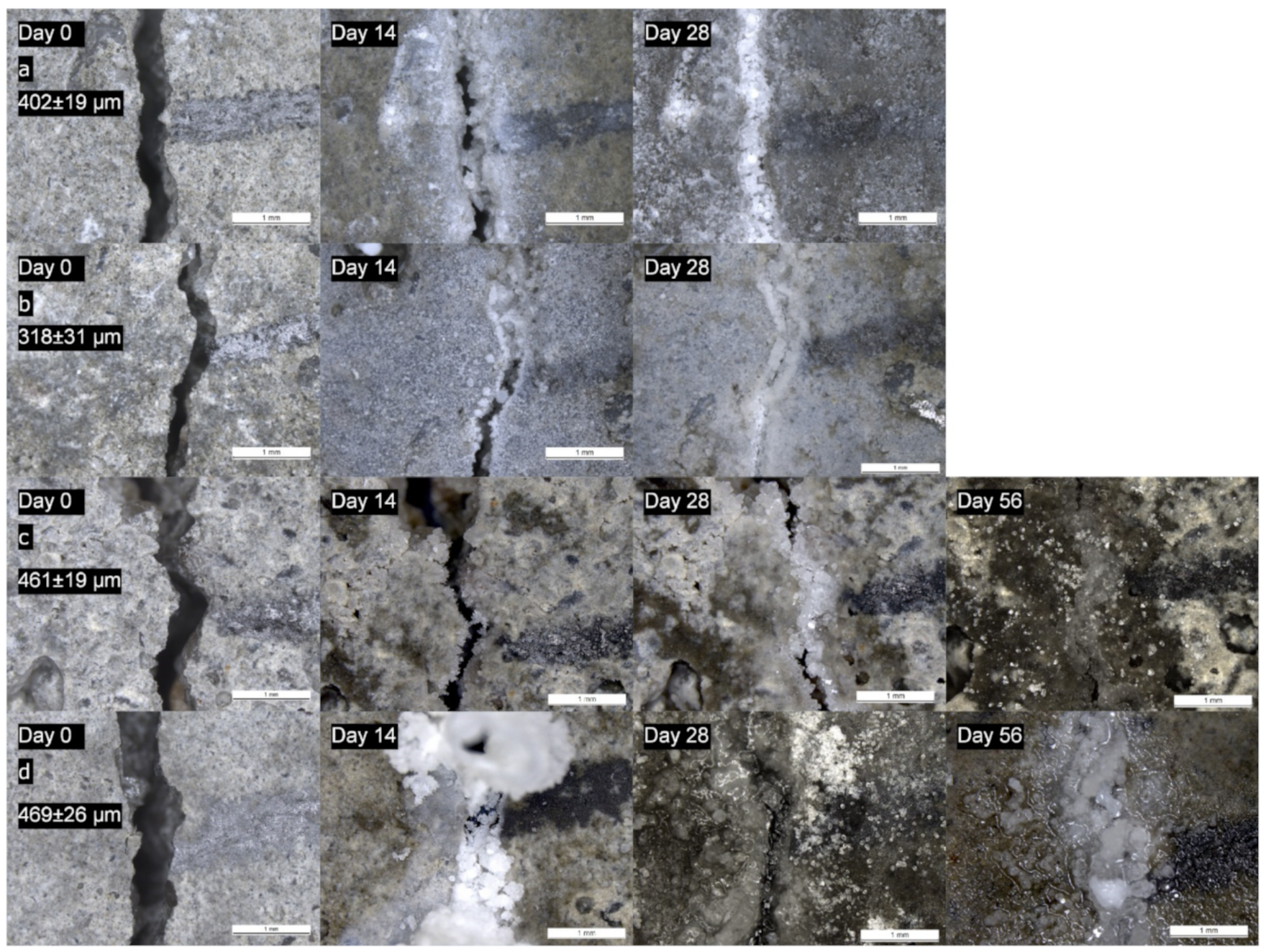 Applsci 11 07842 g003