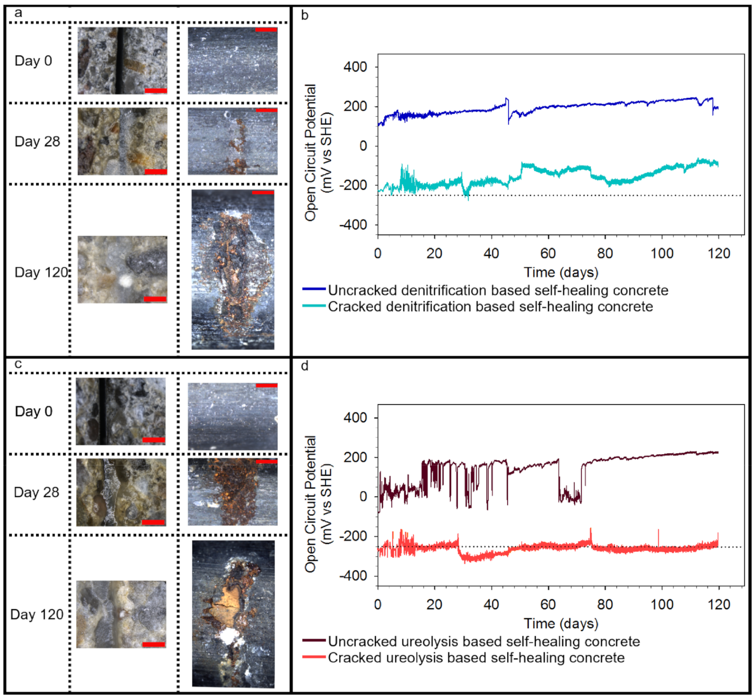 Applsci 11 07842 g004