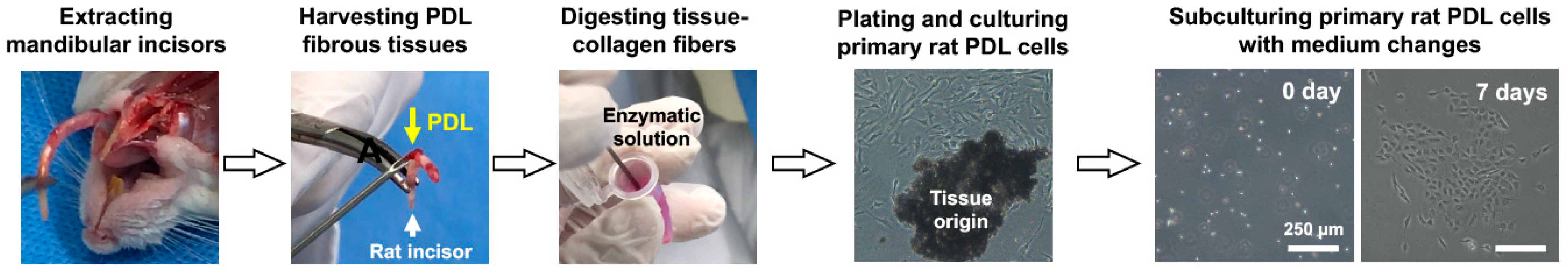 Applsci 11 07847 g001 550