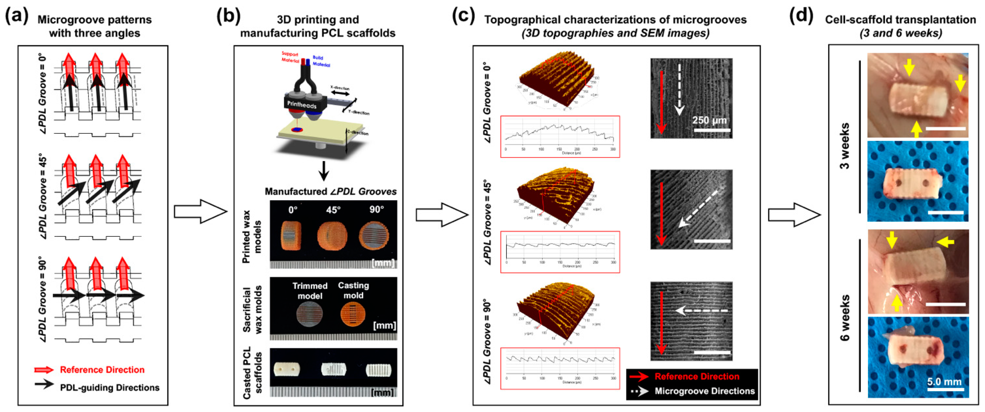 Applsci 11 07847 g002 550