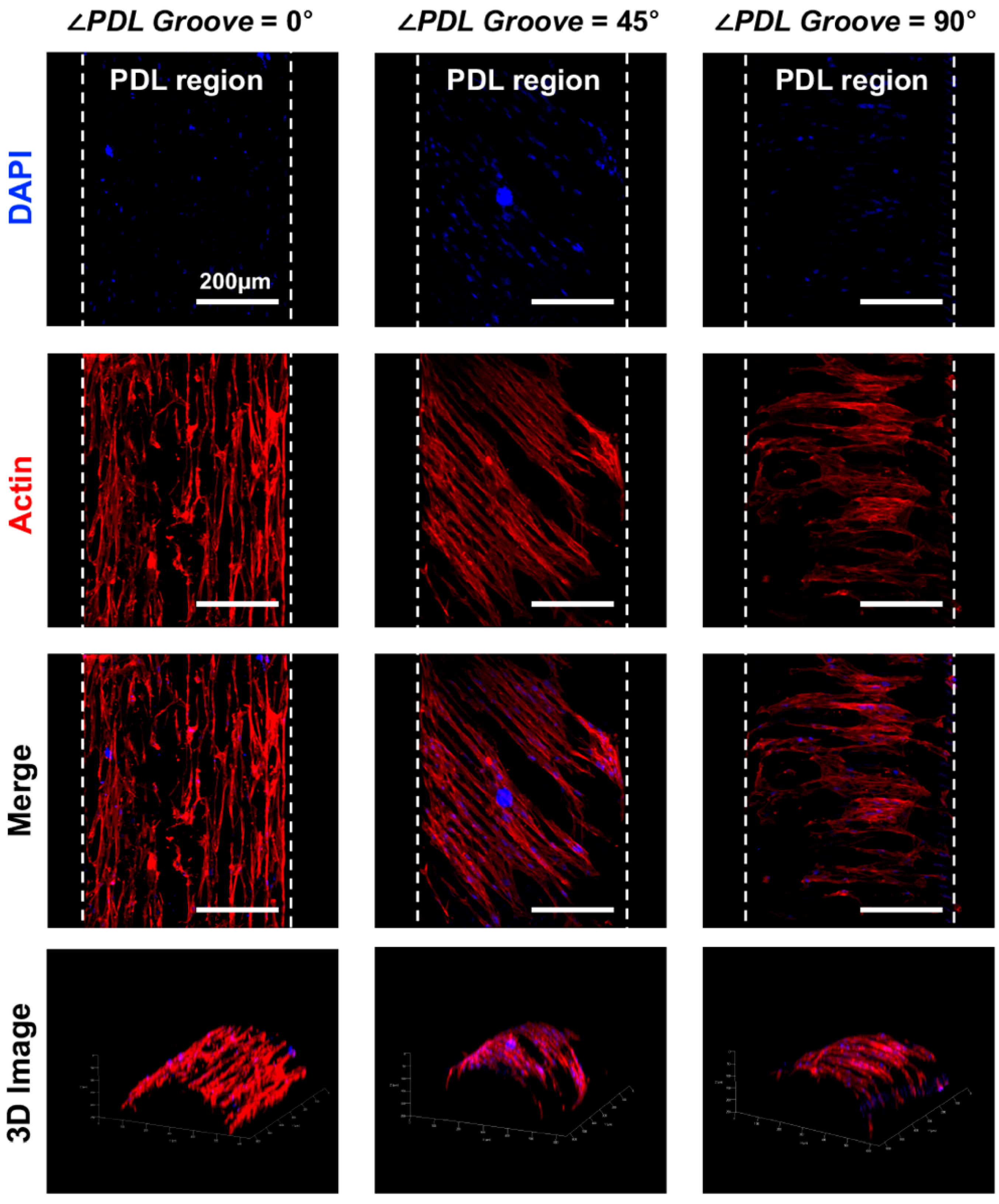 Applsci 11 07847 g003 550
