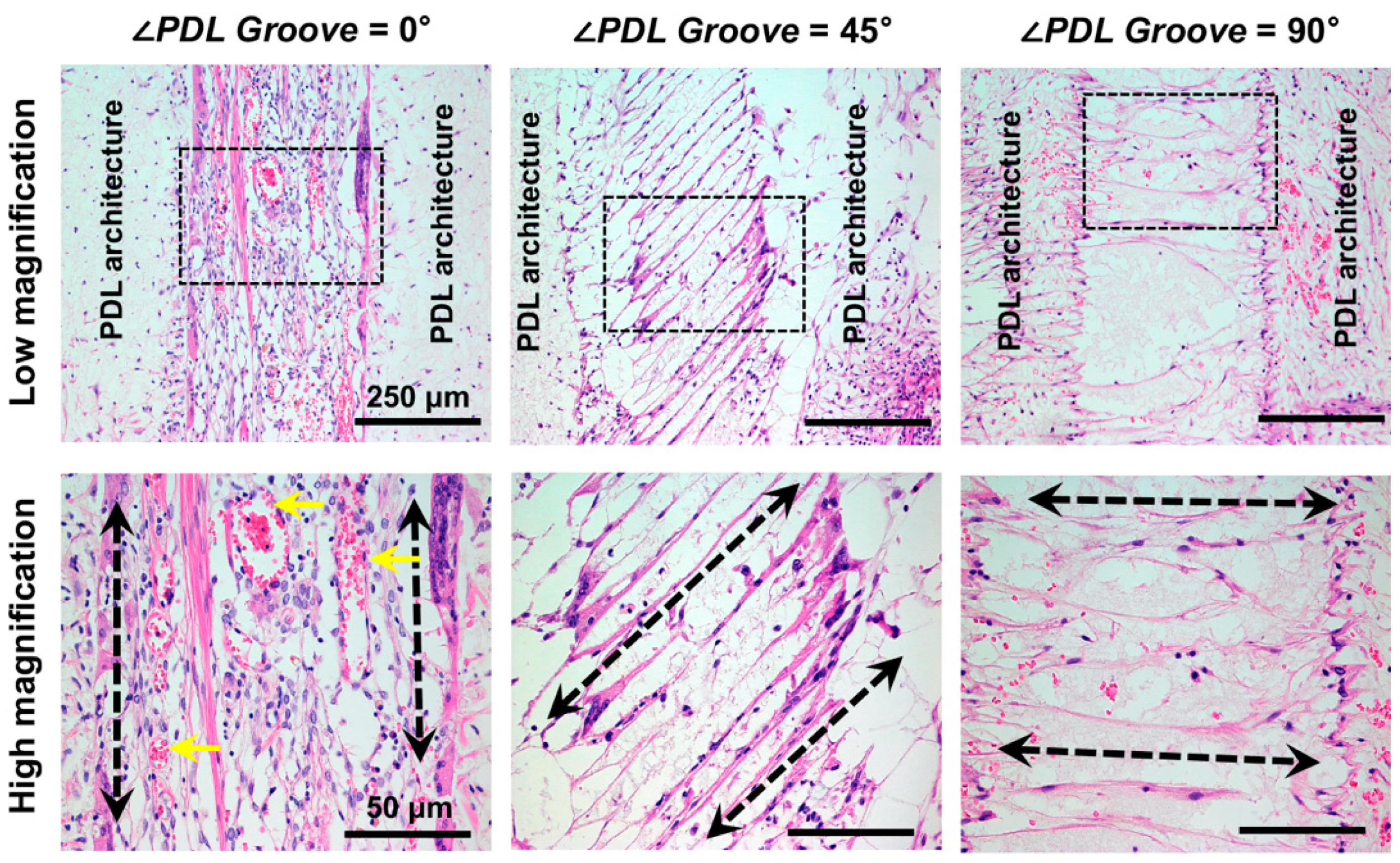 Applsci 11 07847 g004 550