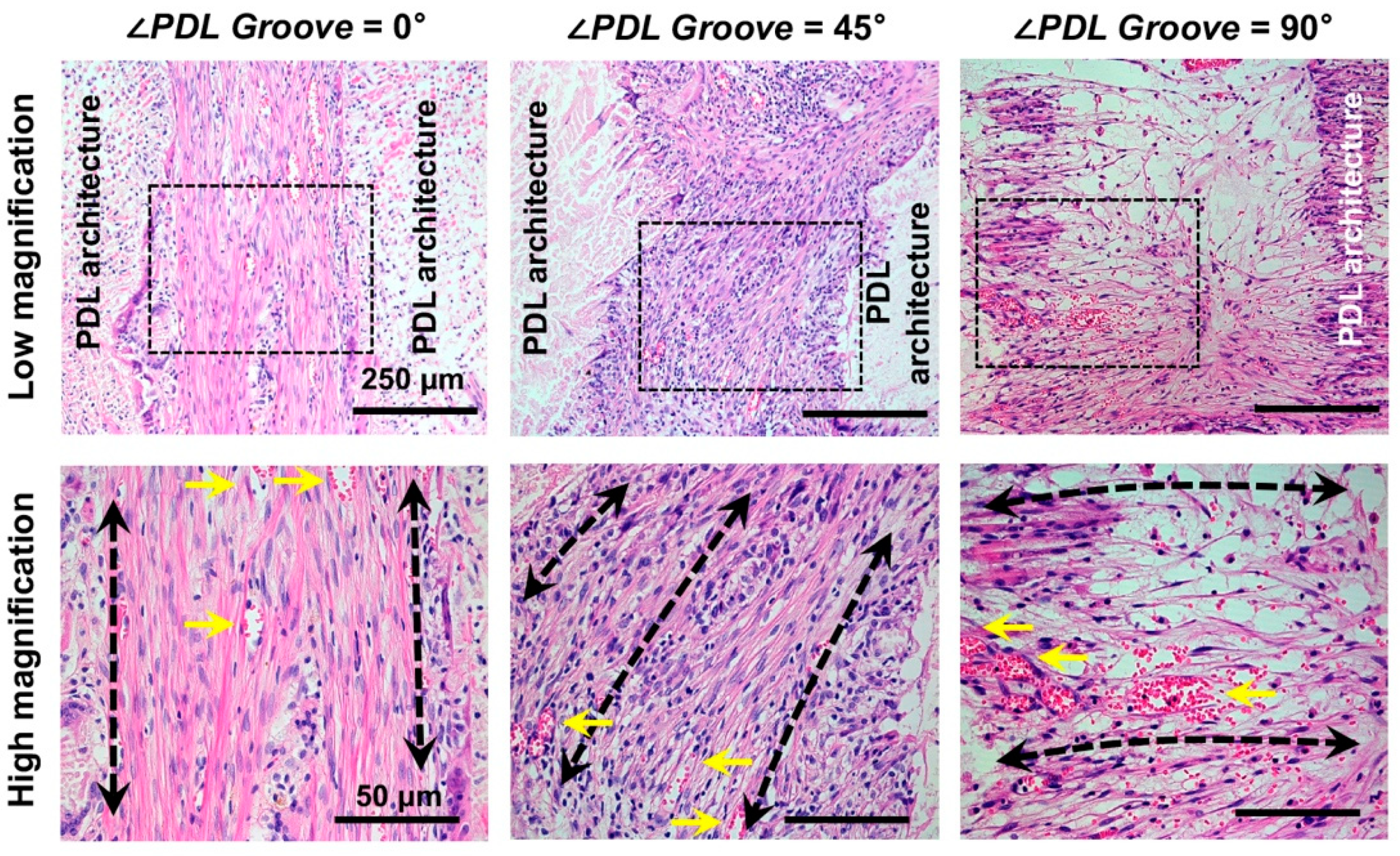 Applsci 11 07847 g005 550