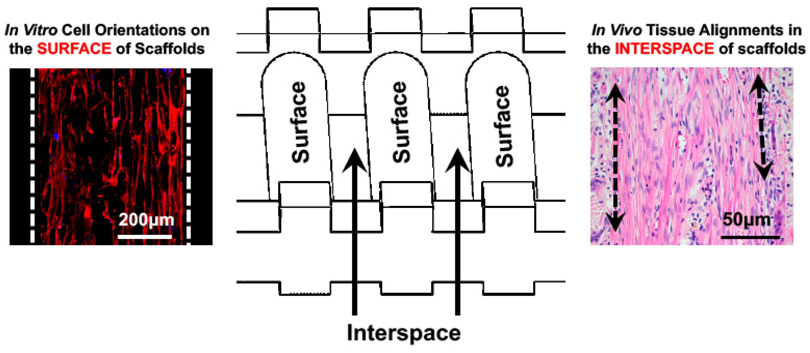 Applsci 11 07847 g006 550