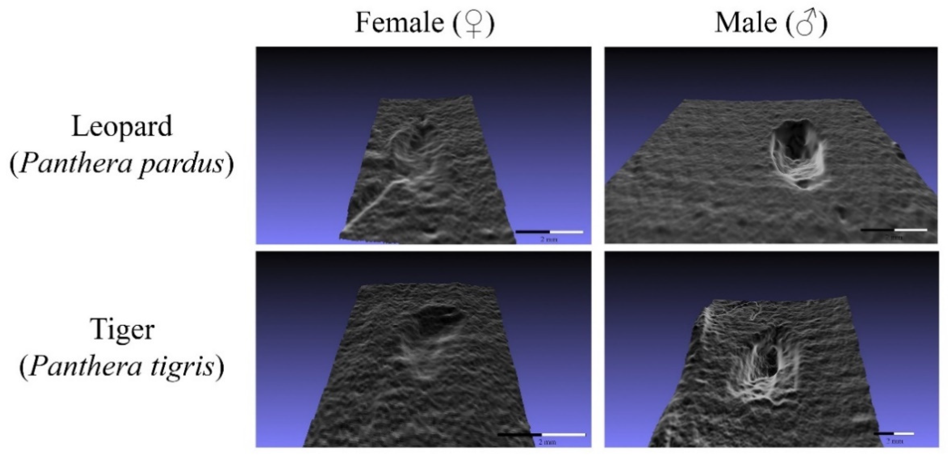 Applsci 11 07848 g002